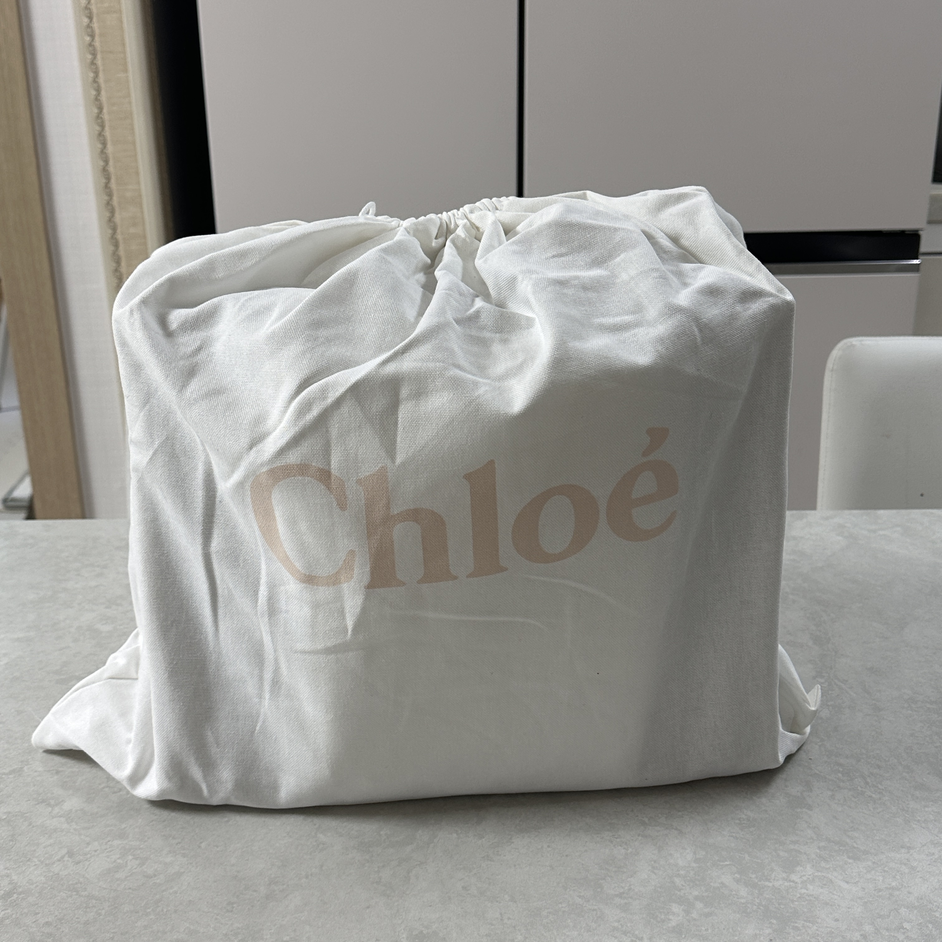 Chloe Woody Medium Tote Bag Cement Pink 착용 스타일 - 1