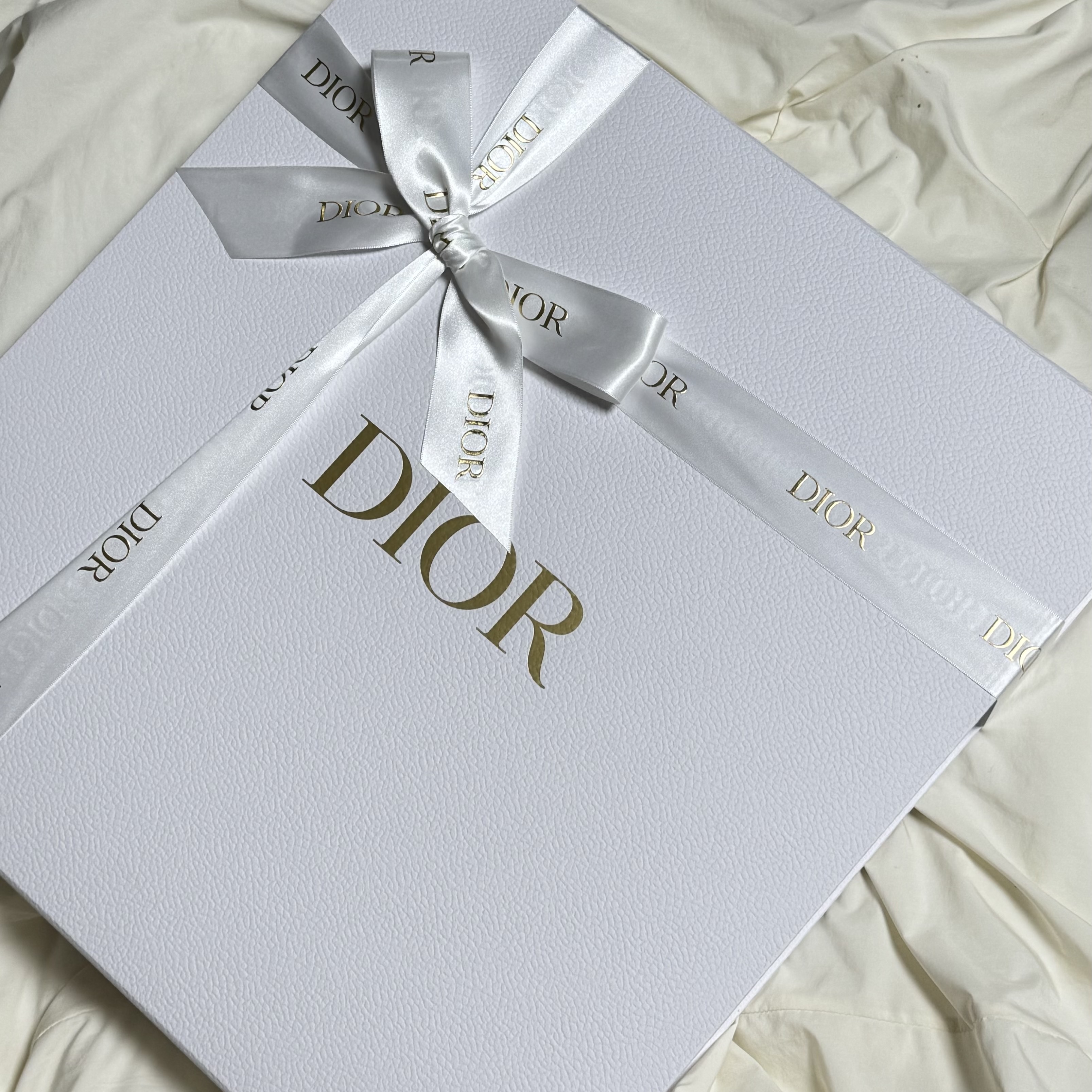 Dior Medium Book Tote Gray Toile de Jouy Embroidery 착용 스타일 - 2