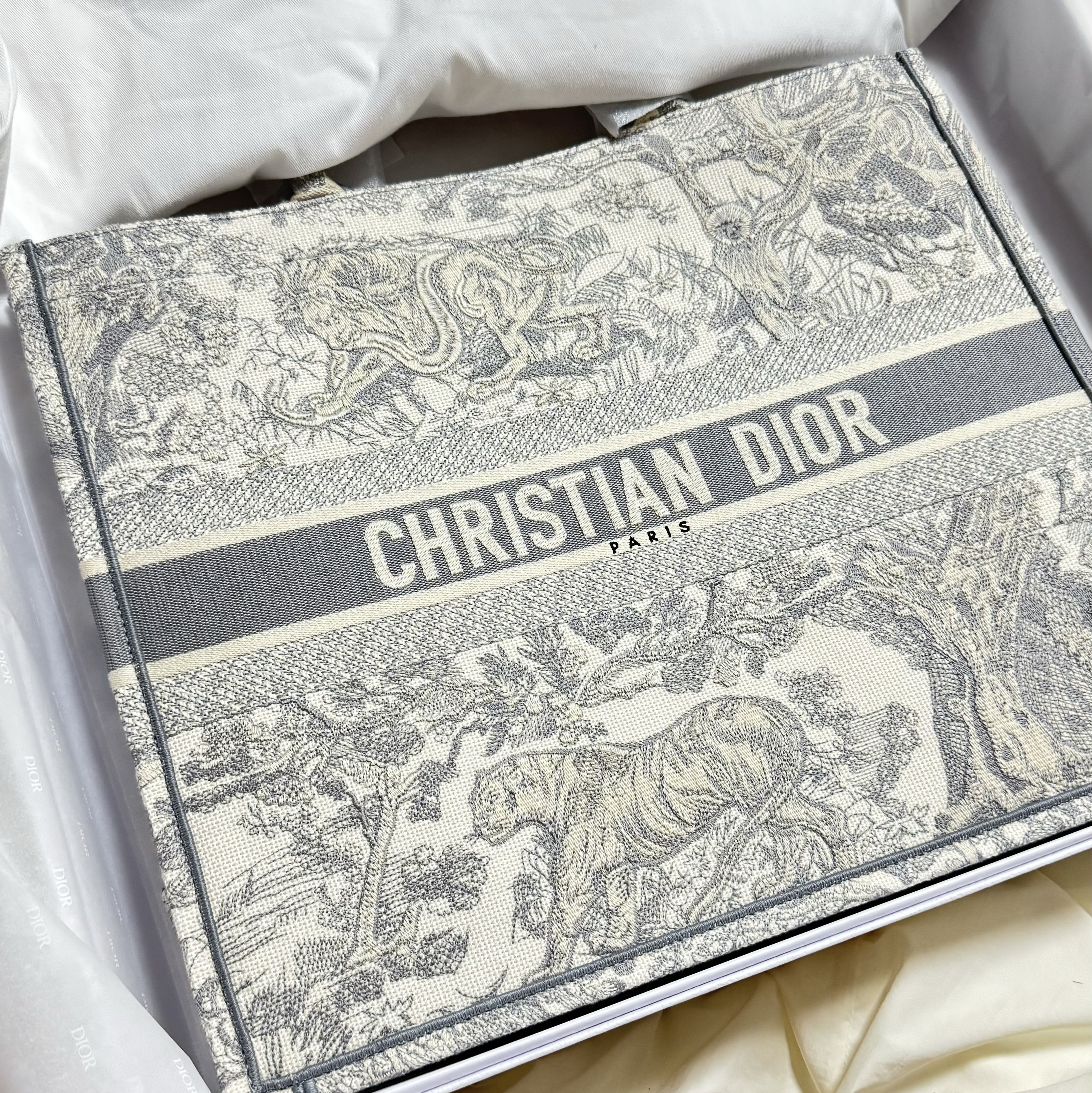 Dior Medium Book Tote Gray Toile de Jouy Embroidery 착용 스타일 - 3