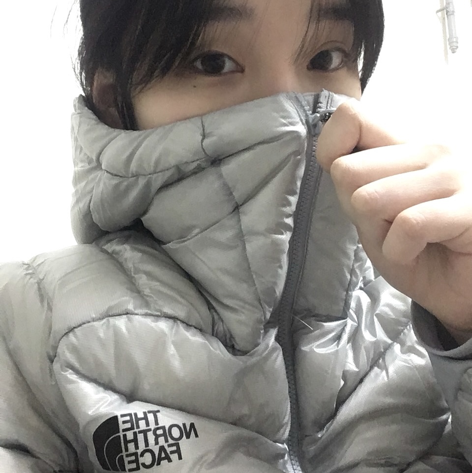 (W) The North Face Summit Mattehorn RDS Down Jacket Silver 착용 스타일 - 1