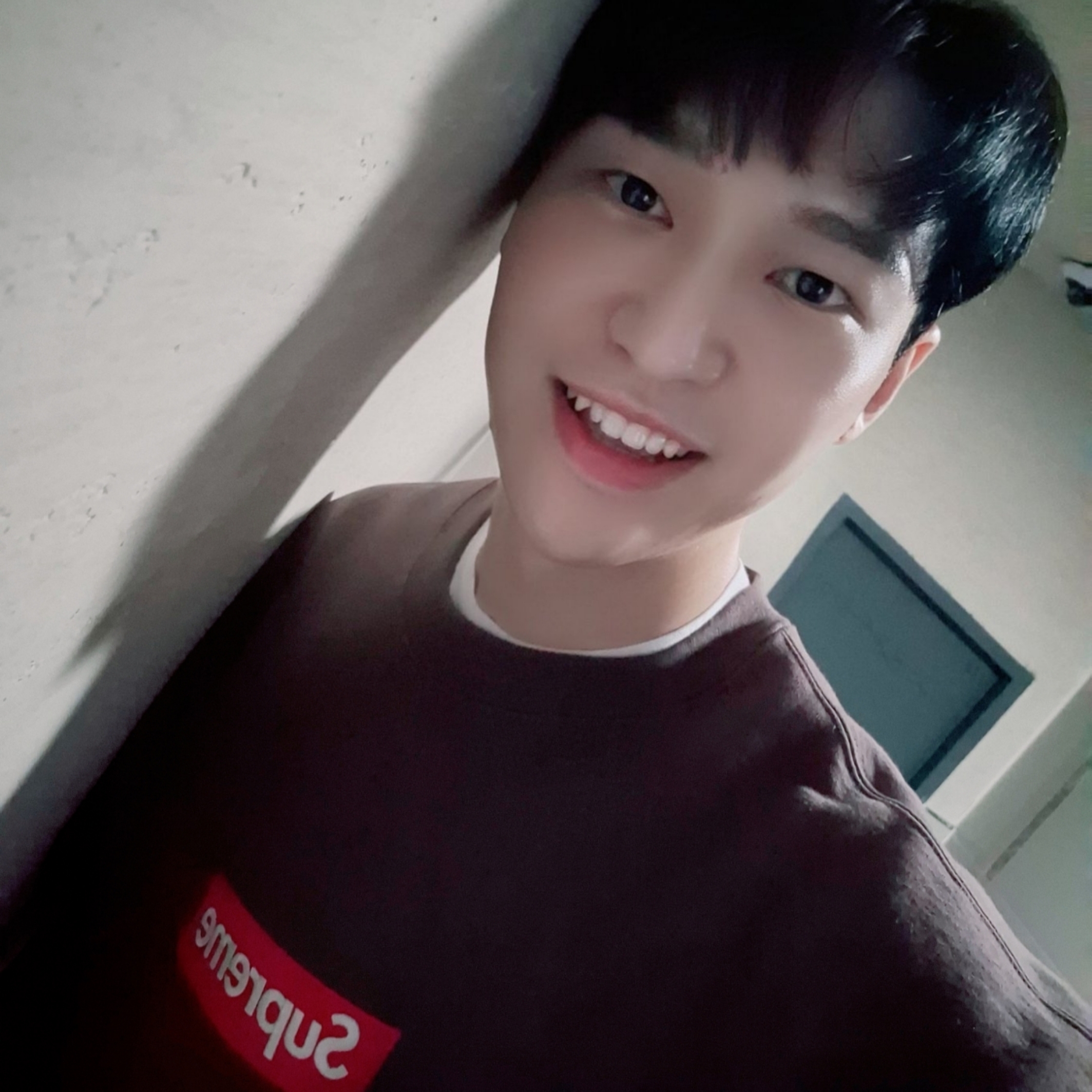 Supreme Box Logo Crewneck Brown - 22FW 착용 스타일
