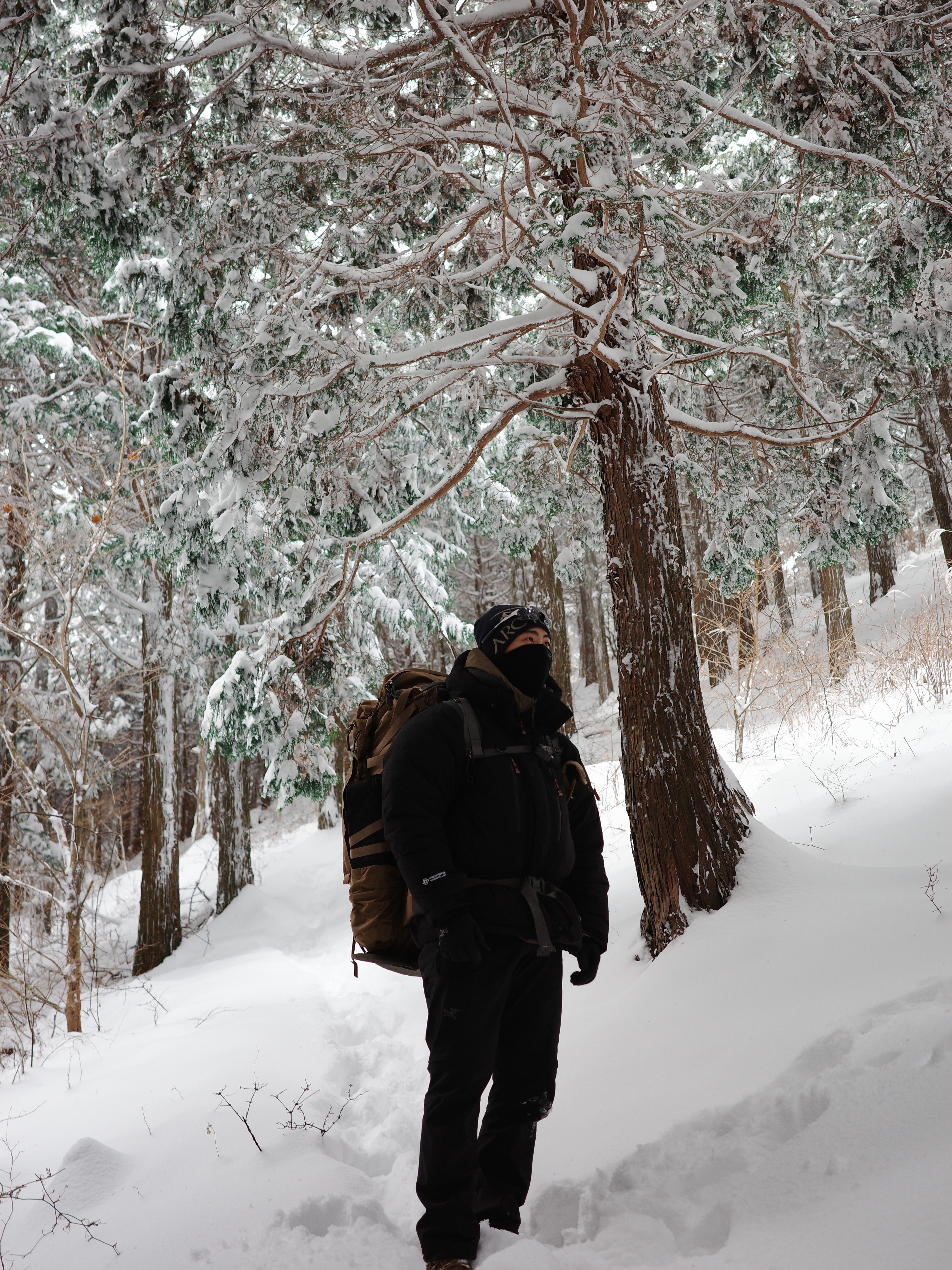 Arc'teryx Bird Word Toque Black Sapphire, The North Face Himalayan Parka Black 착용 스타일 - 3