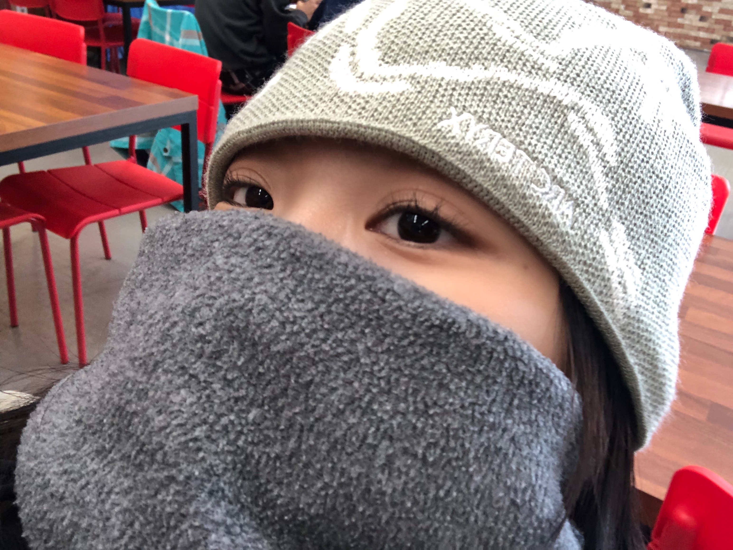 Arc'teryx Bird Head Toque Habitat 착용 스타일