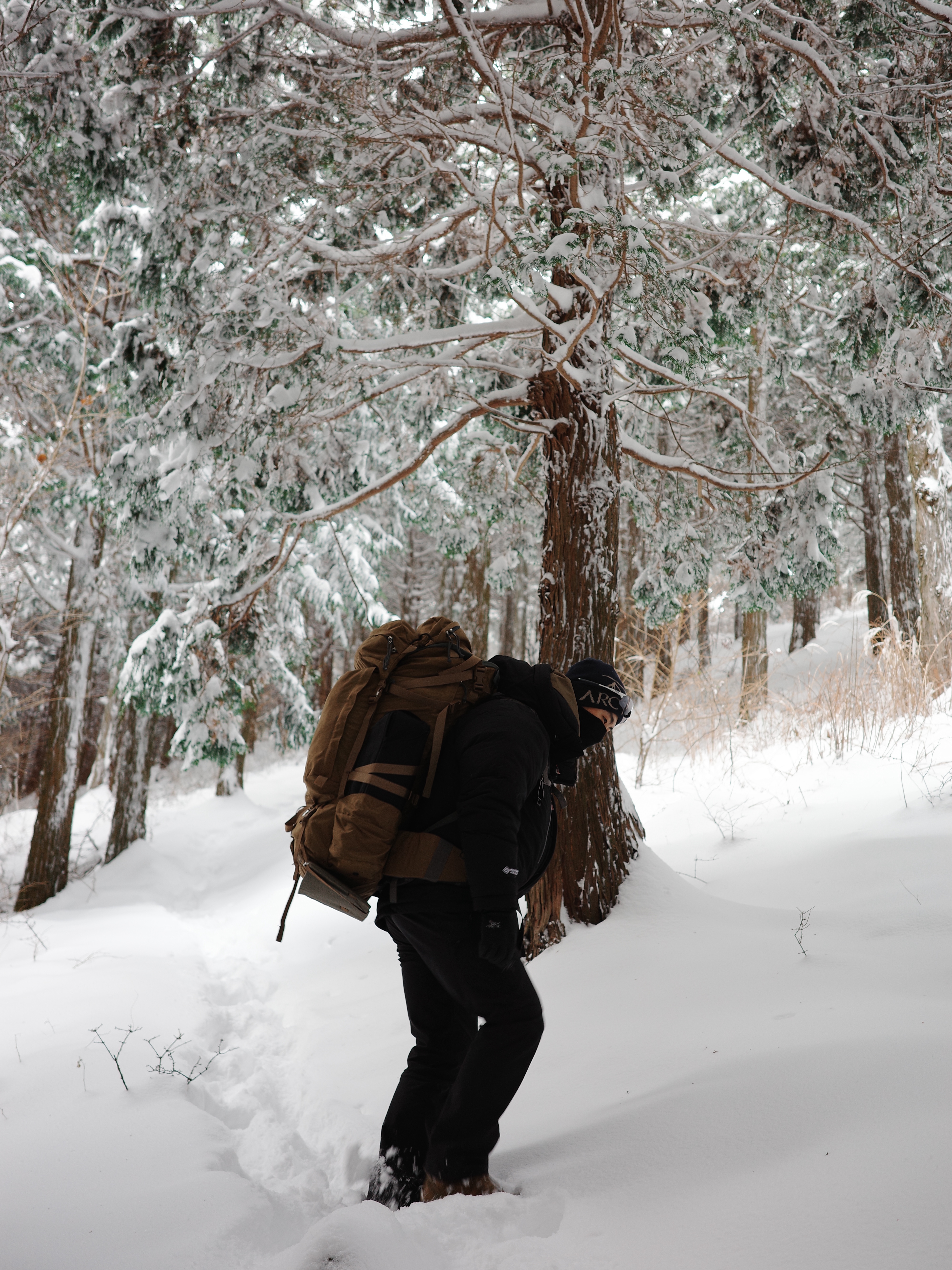 Arc'teryx Bird Word Toque Black Sapphire, The North Face Himalayan Parka Black 착용 스타일 - 4