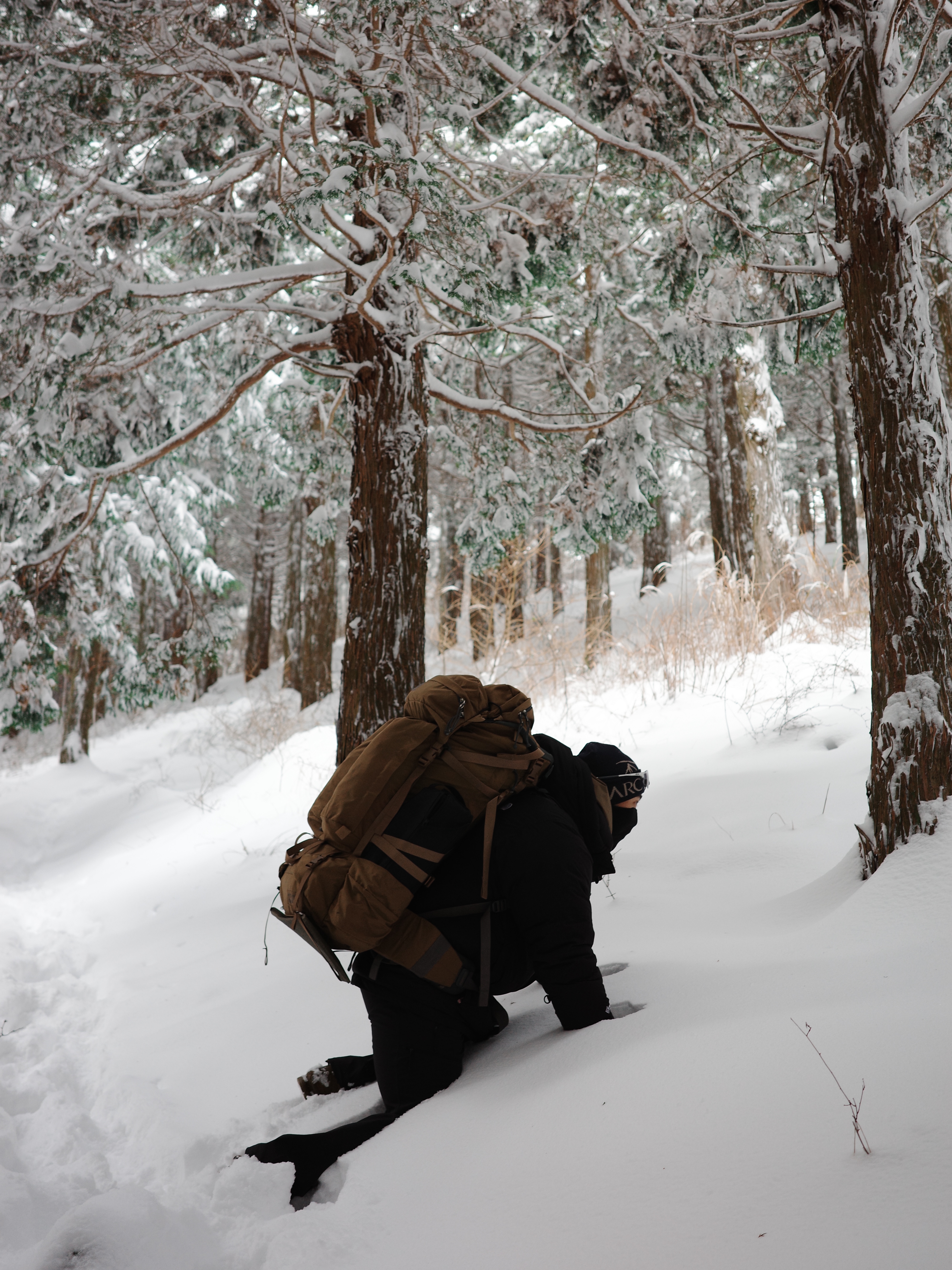 Arc'teryx Bird Word Toque Black Sapphire, The North Face Himalayan Parka Black 착용 스타일 - 5