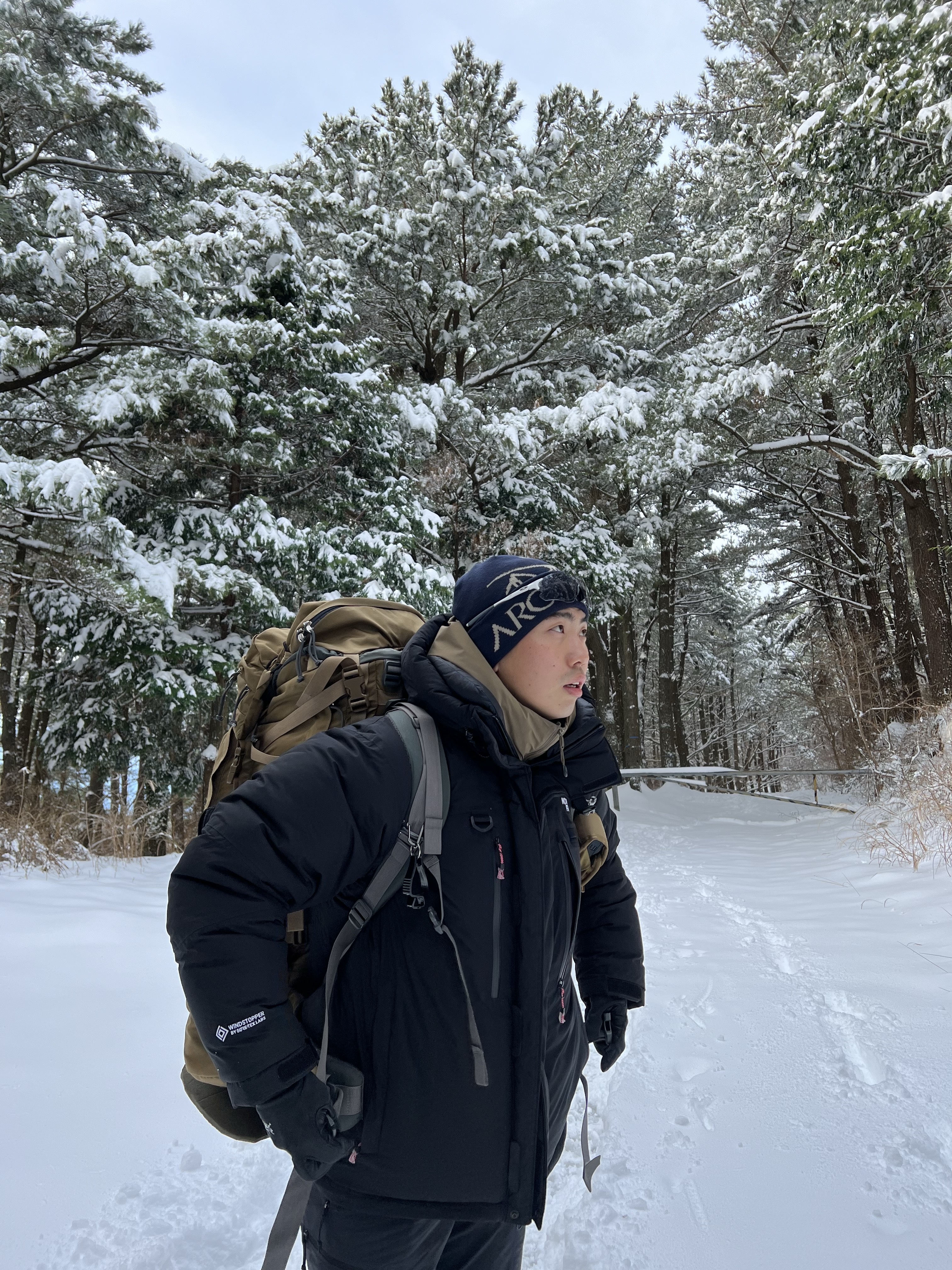 Arc'teryx Bird Word Toque Black Sapphire, The North Face Himalayan Parka Black 착용 스타일 - 1