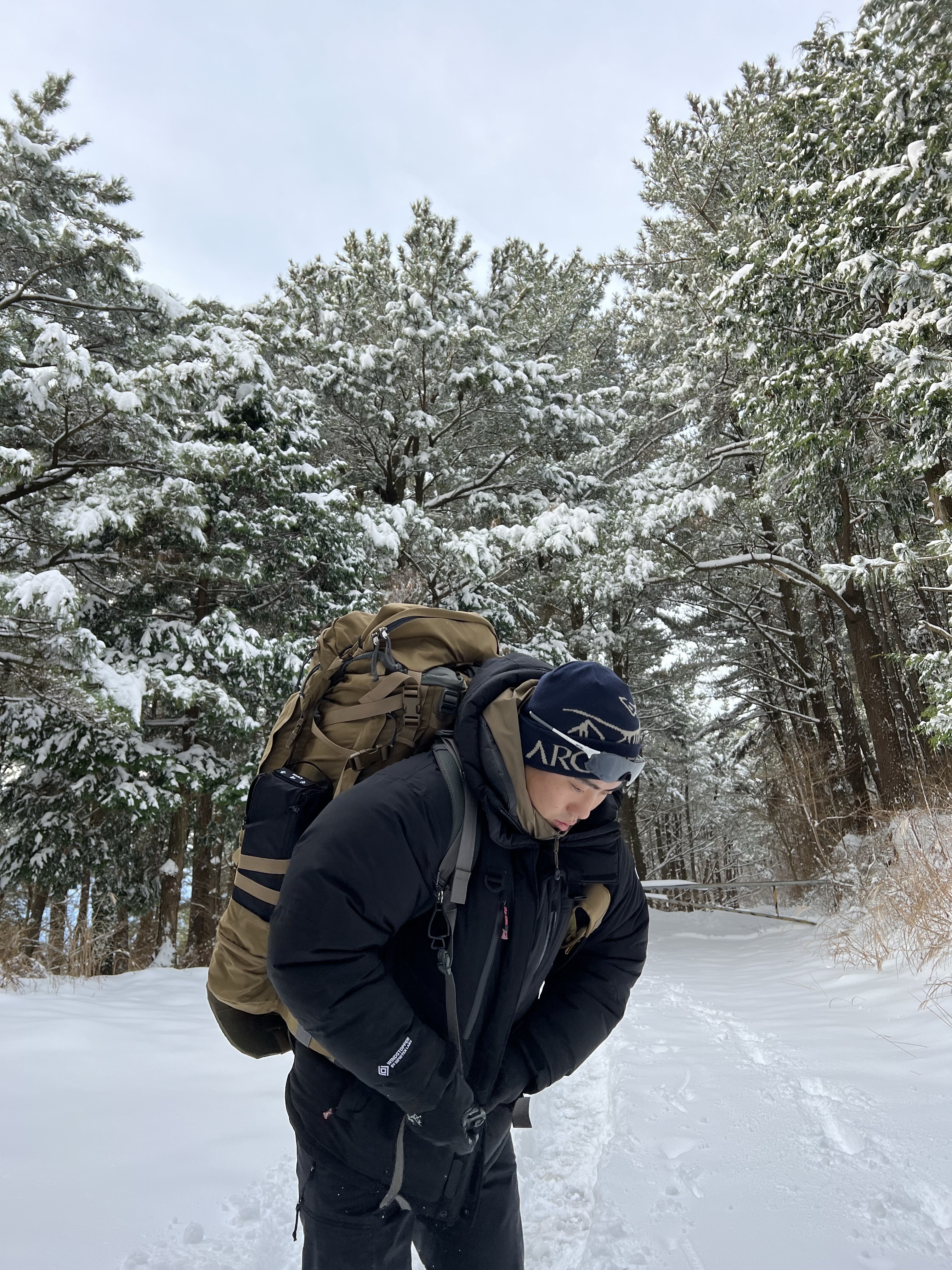 Arc'teryx Bird Word Toque Black Sapphire, The North Face Himalayan Parka Black 착용 스타일 - 2