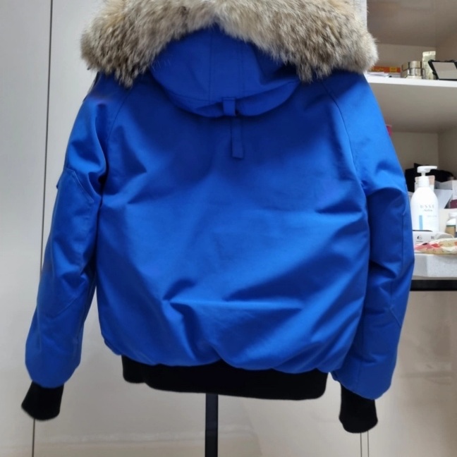 (W) Canada Goose Chilliwack Bomber Pbi Pbi Disc Label Pbi Blue 착용 스타일 - 1