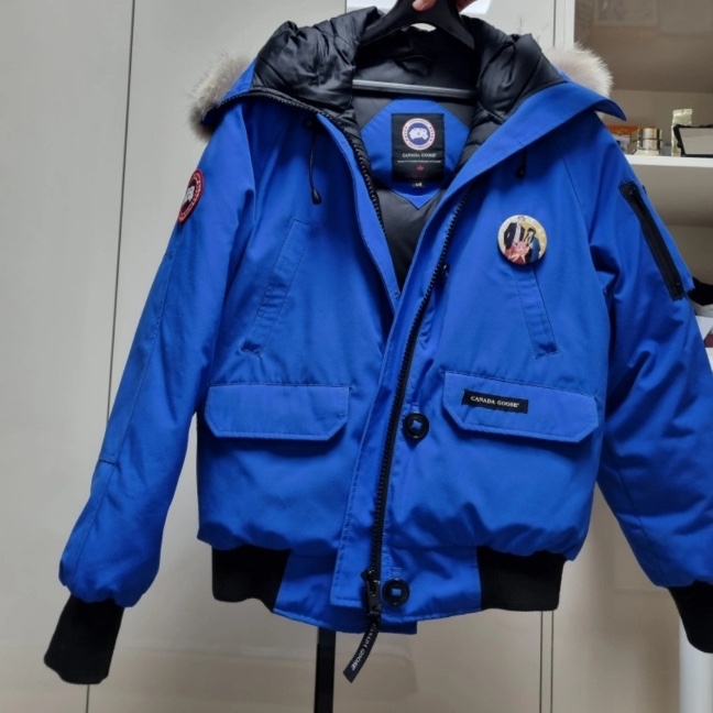 (W) Canada Goose Chilliwack Bomber Pbi Pbi Disc Label Pbi Blue 착용 스타일 - 2