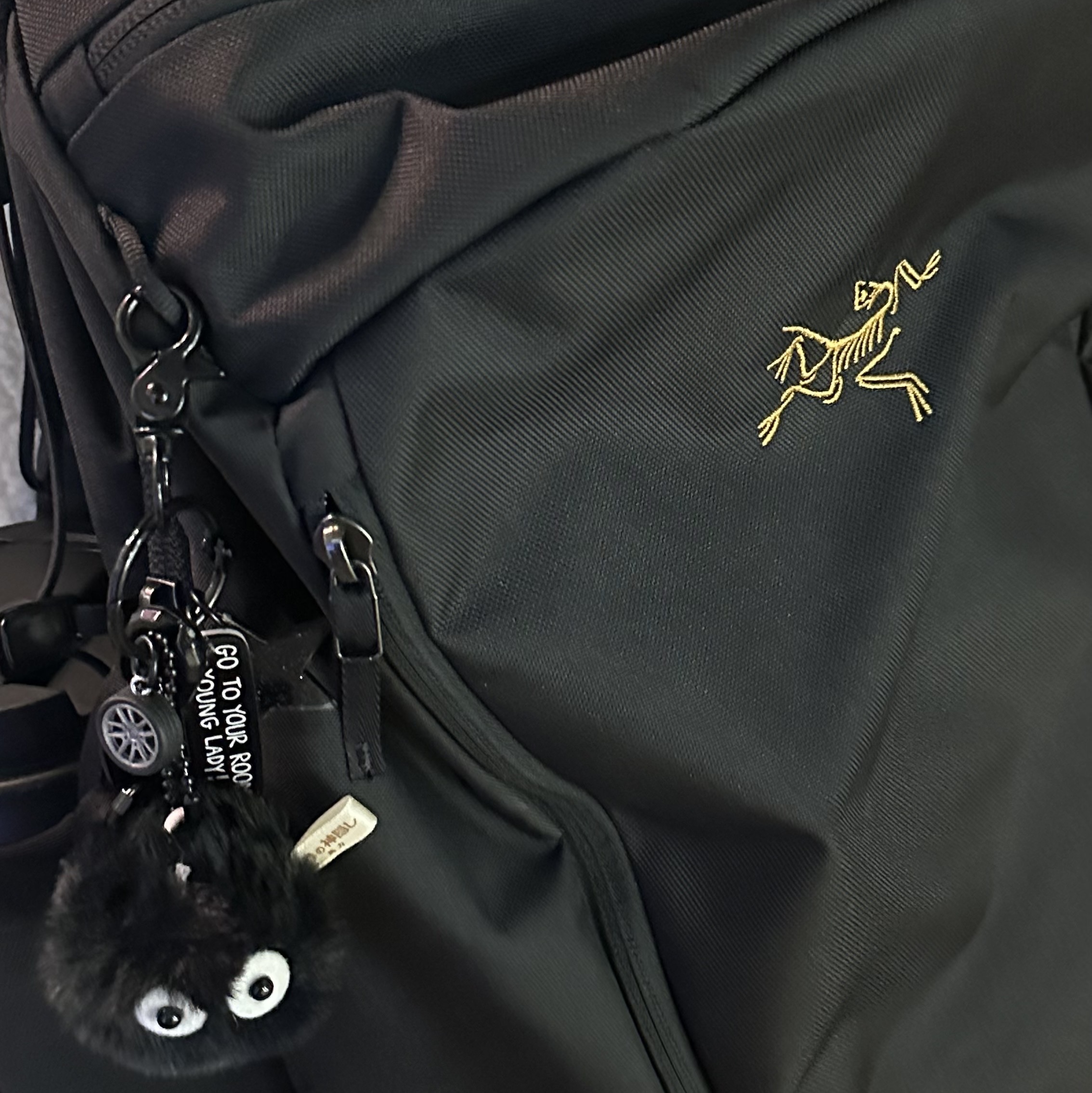 Arc'teryx Mantis 26 Backpack Black 착용 스타일
