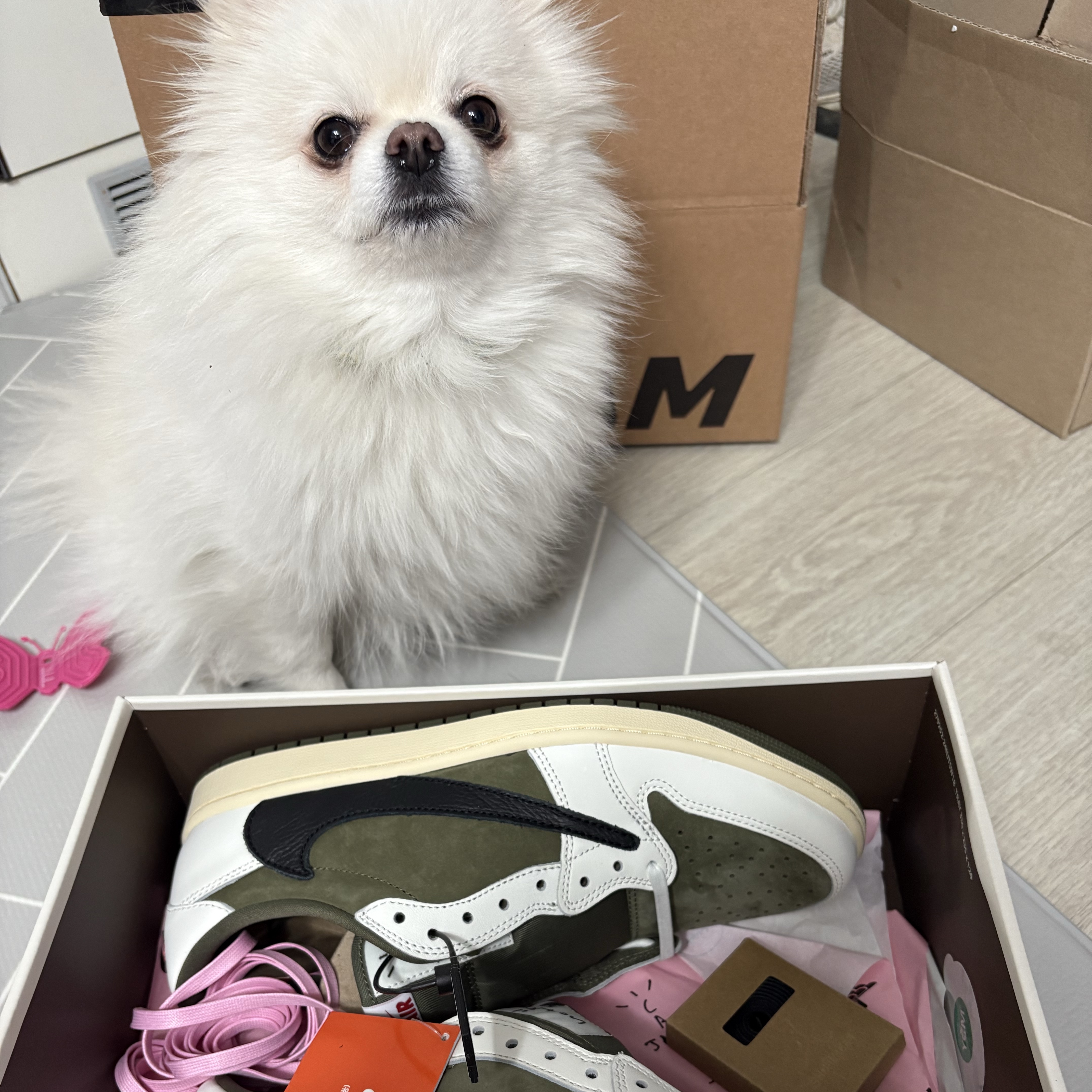 Jordan 1 x Travis Scott Retro Low OG SP Reverse Olive 착용 스타일