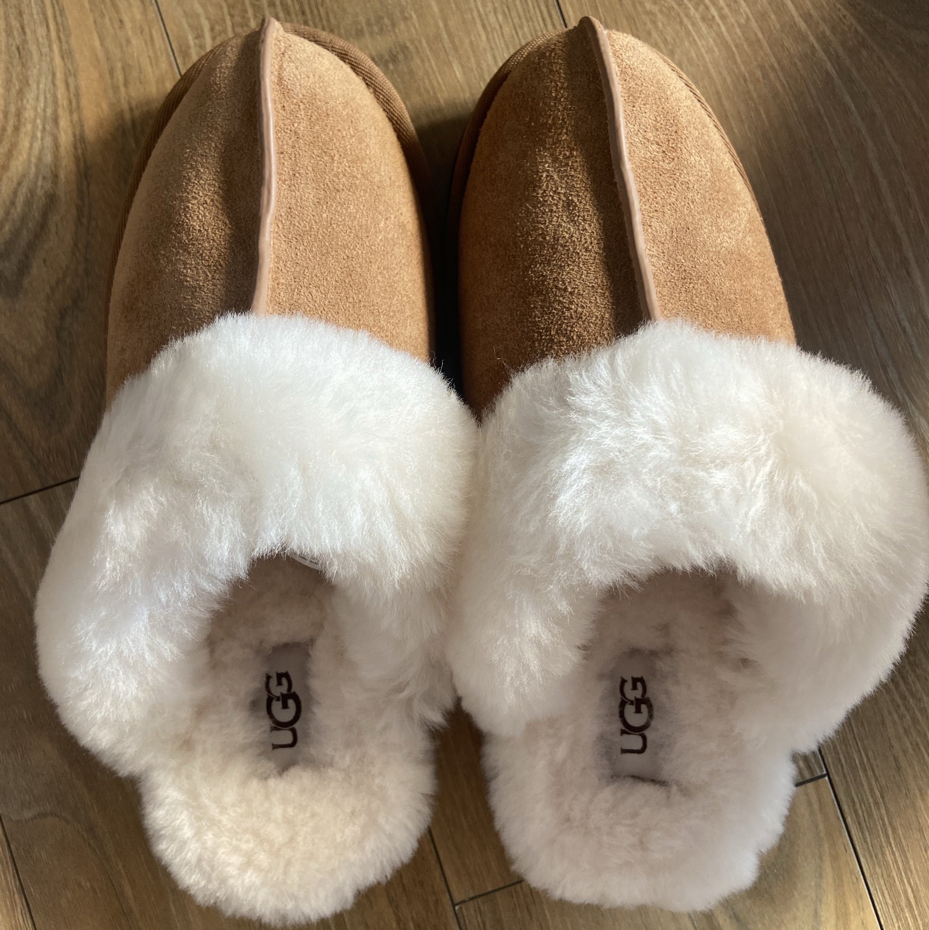 (W) UGG Scuffette II Slipper Chestnut 착용 스타일 - 2