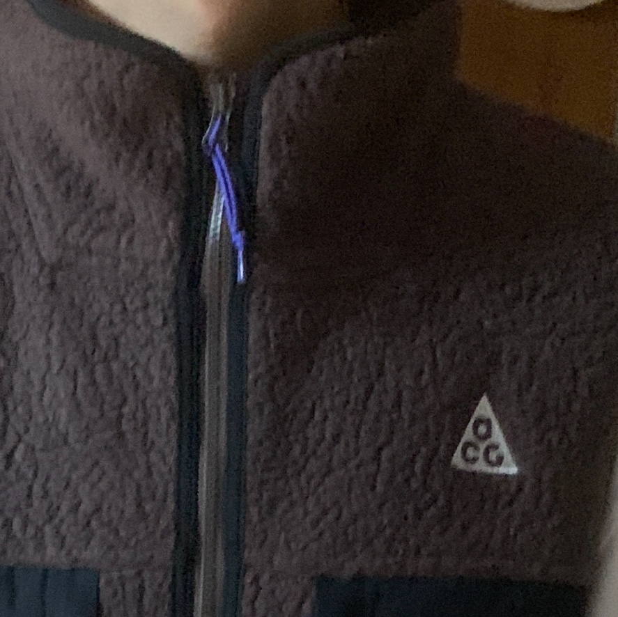 Nike ACG Arctic Wolf Vest Baroque Brown - Asia 착용 스타일
