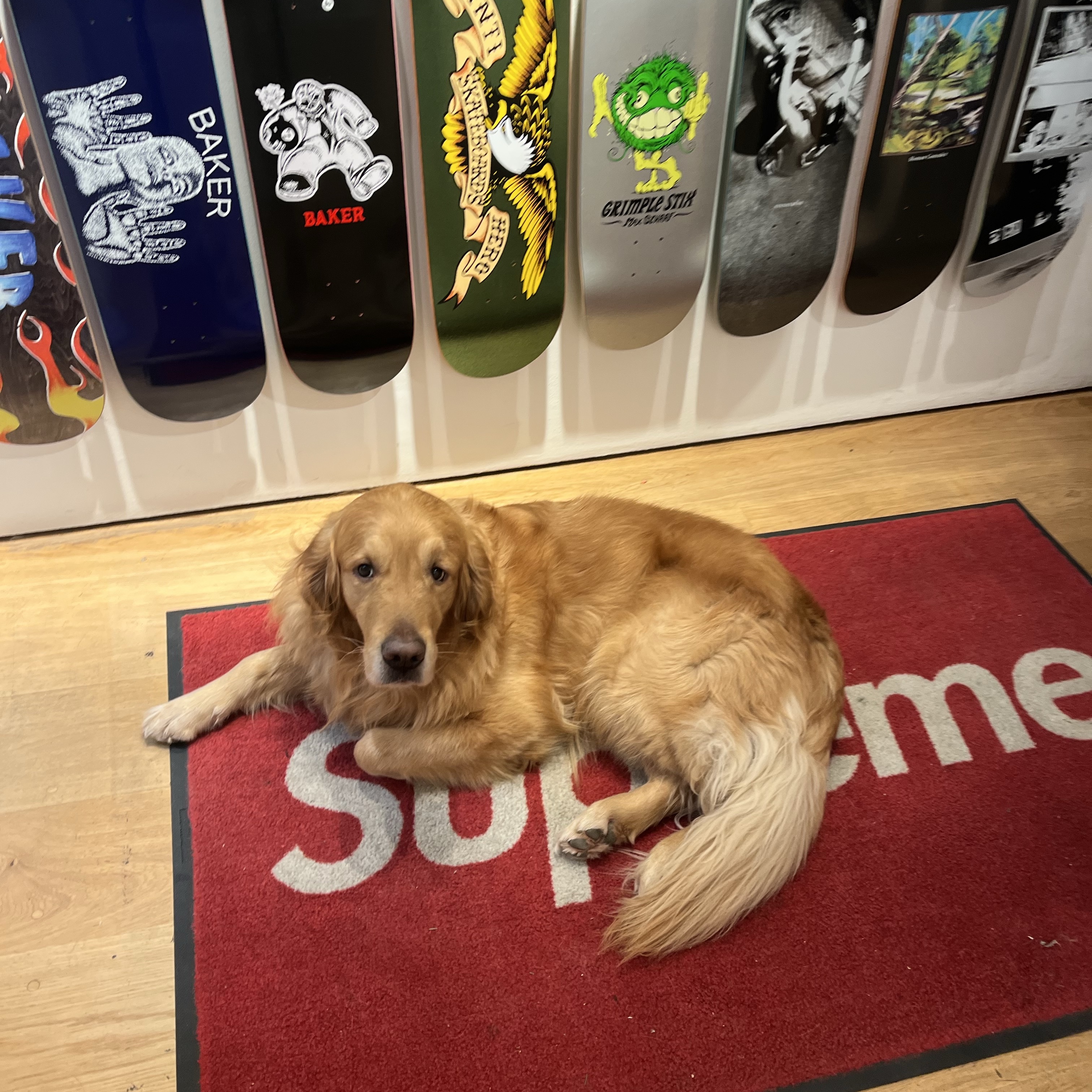 Supreme Box Logo Hooded Sweatshirt Navy - 24FW 착용 스타일 - 2