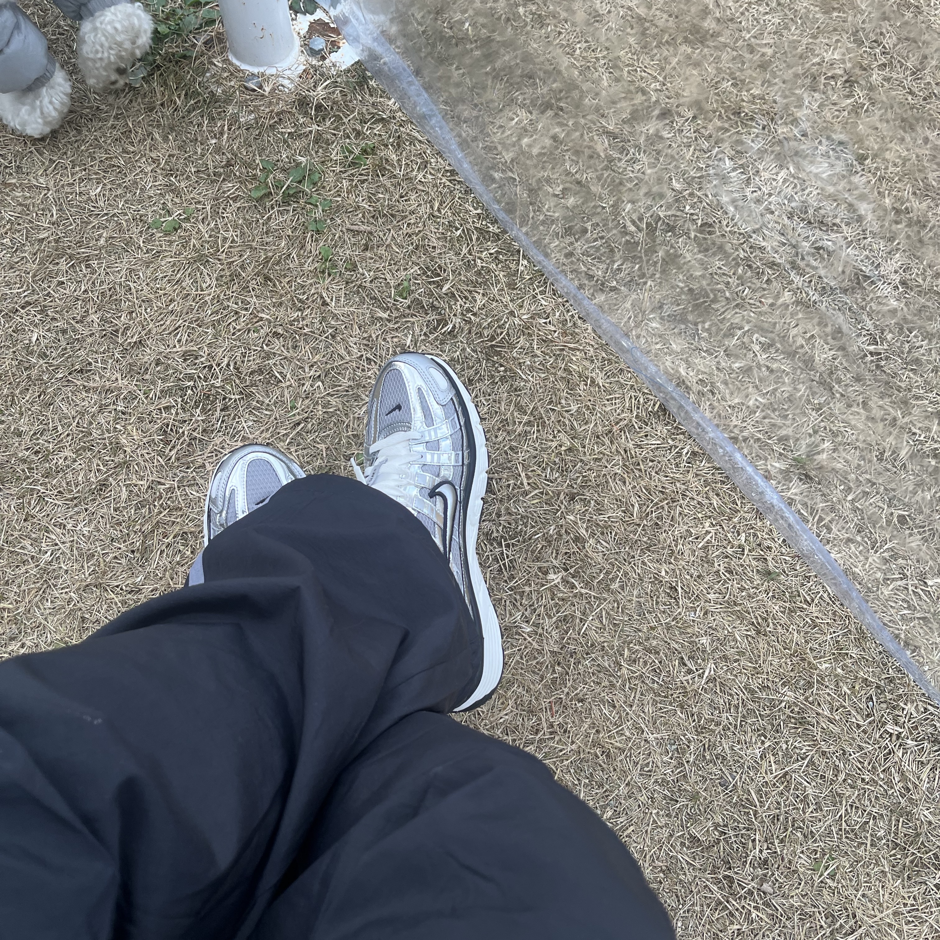 Nike P-6000 Metallic Silver 착용 스타일