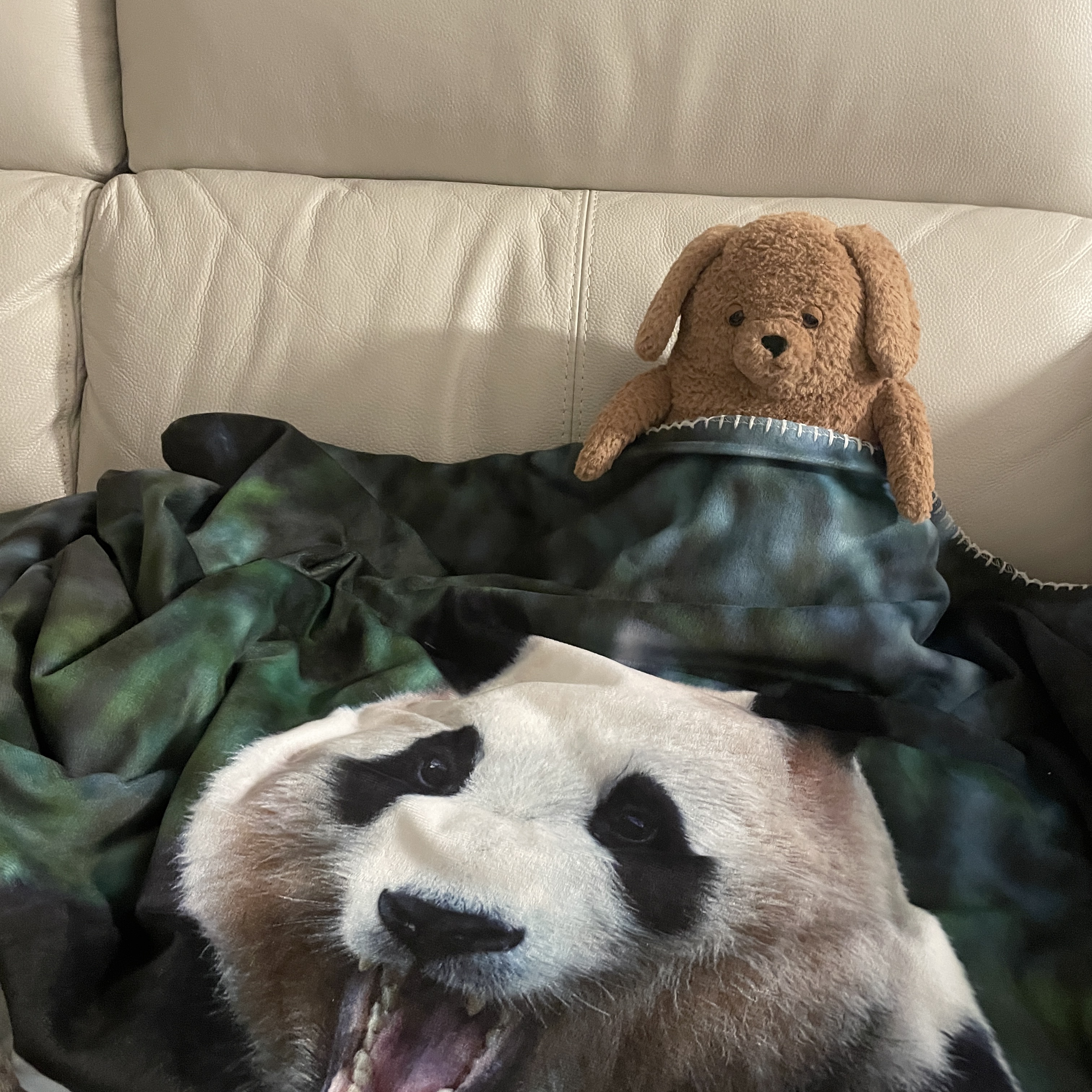 Jellycat Amore Dog Brown 착용 스타일