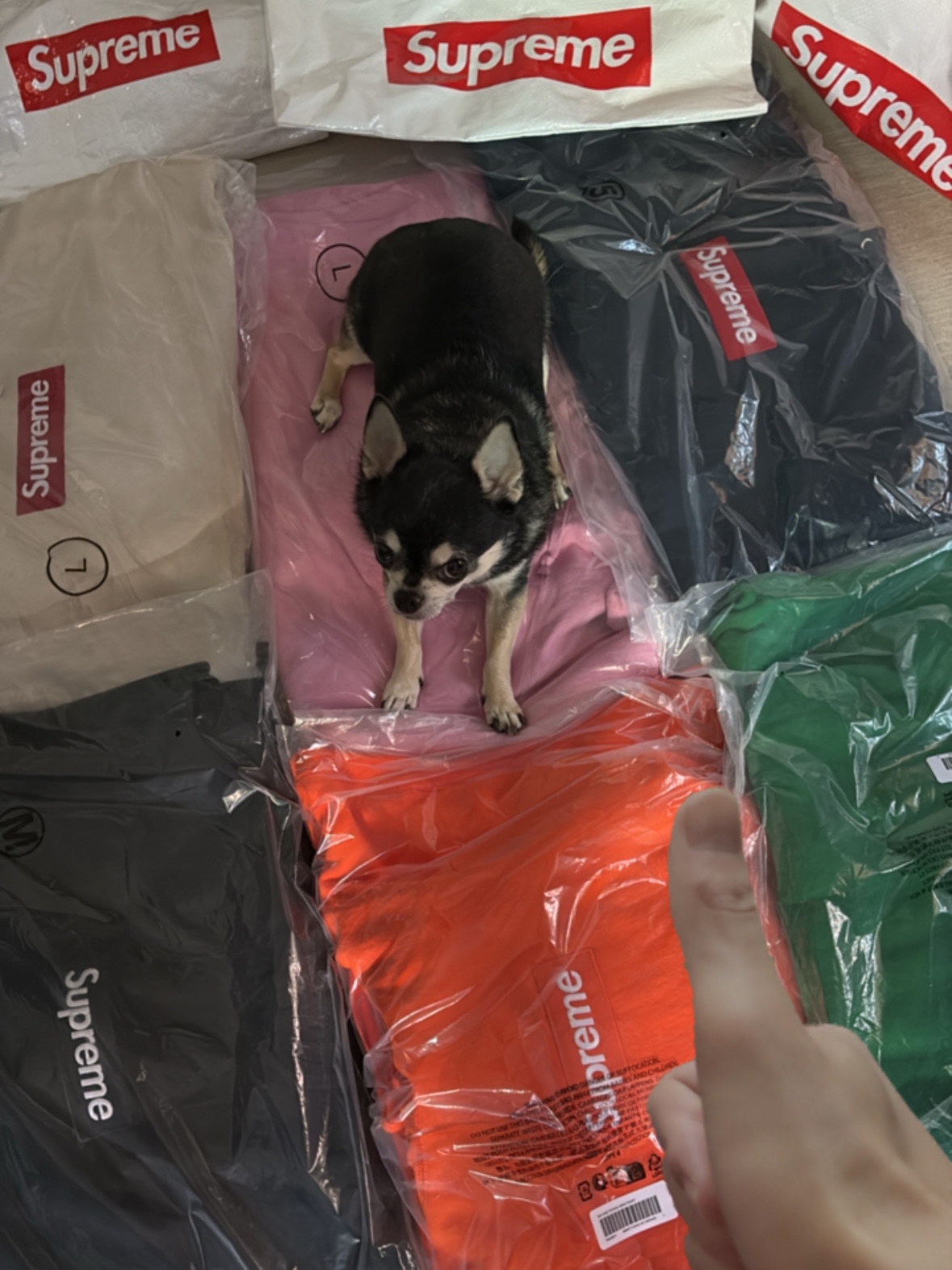 Supreme Box Logo Hooded Sweatshirt Green - 24FW, Supreme Box Logo Hooded Sweatshirt Navy - 24FW 착용 스타일