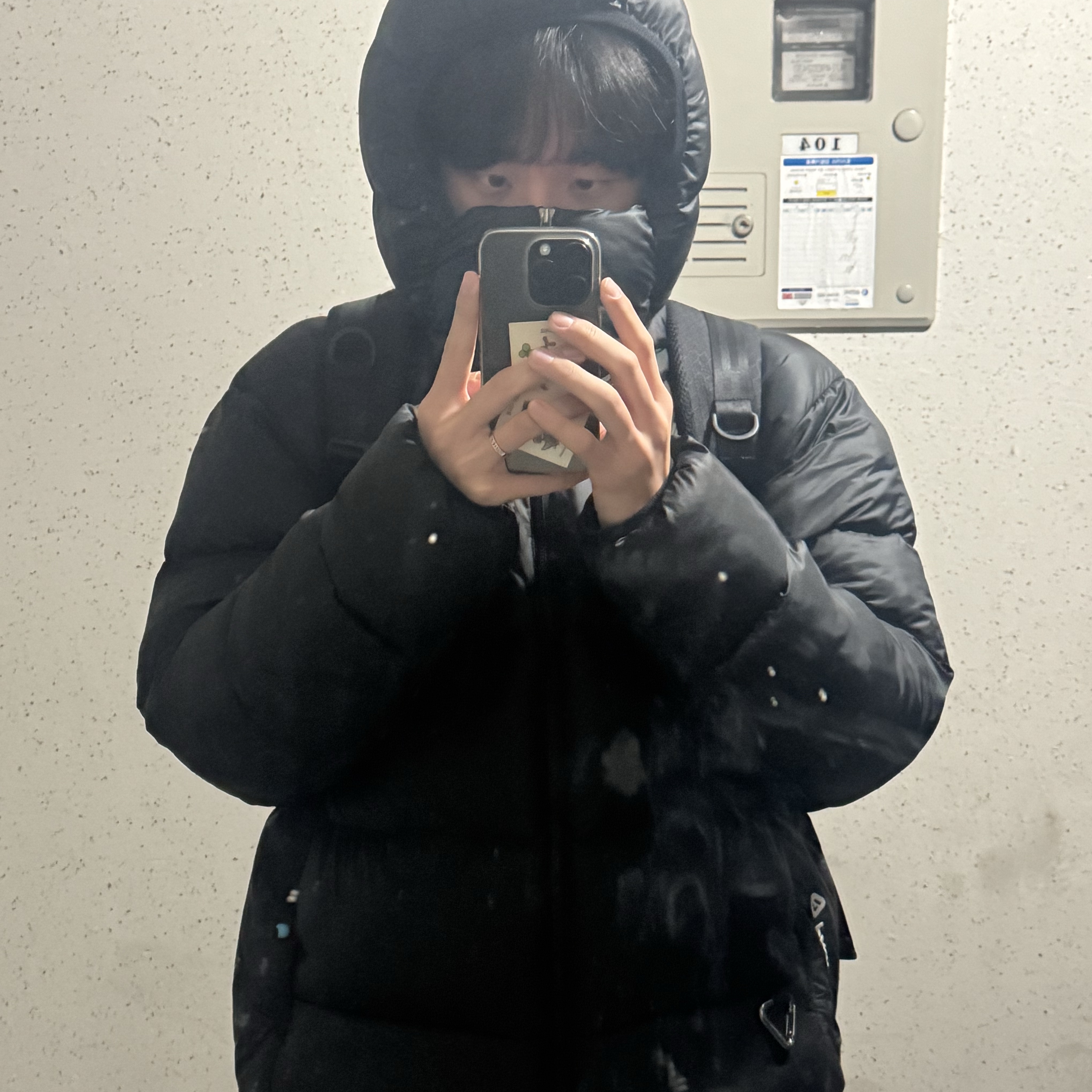 Nike ACG Therma-Fit ADV Lunar Lake Puffer Jacket Black - Asia 착용 스타일