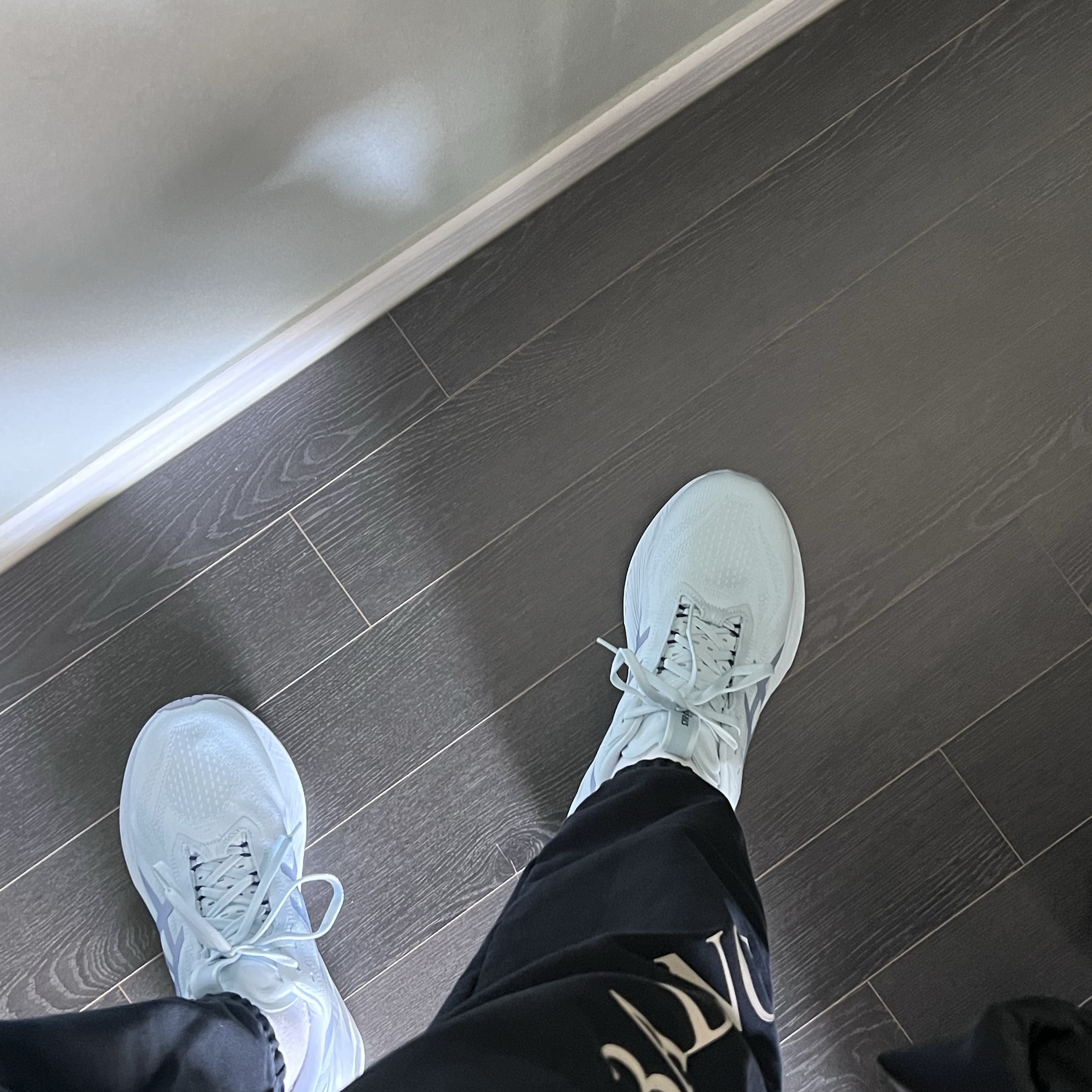 Asics Novablast 4 LE Cool Grey Grey Blue 착용 스타일 - 2