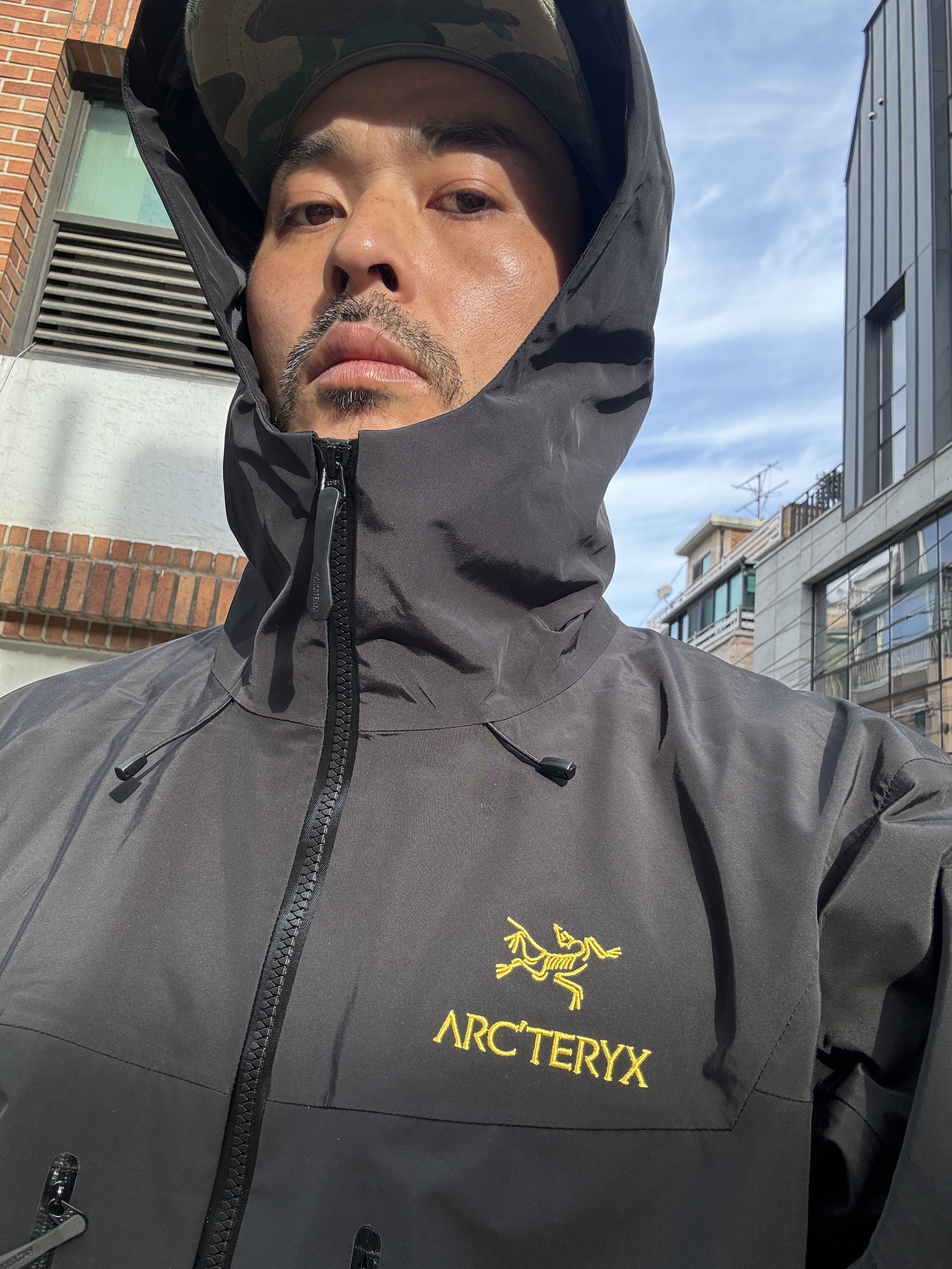 Arc'teryx Beta LT Jacket Black, Undermycar Mu.44 Anti Fxxking Logo Play Big Cargo Camo Shorts Camo Khaki 착용 스타일 - 7