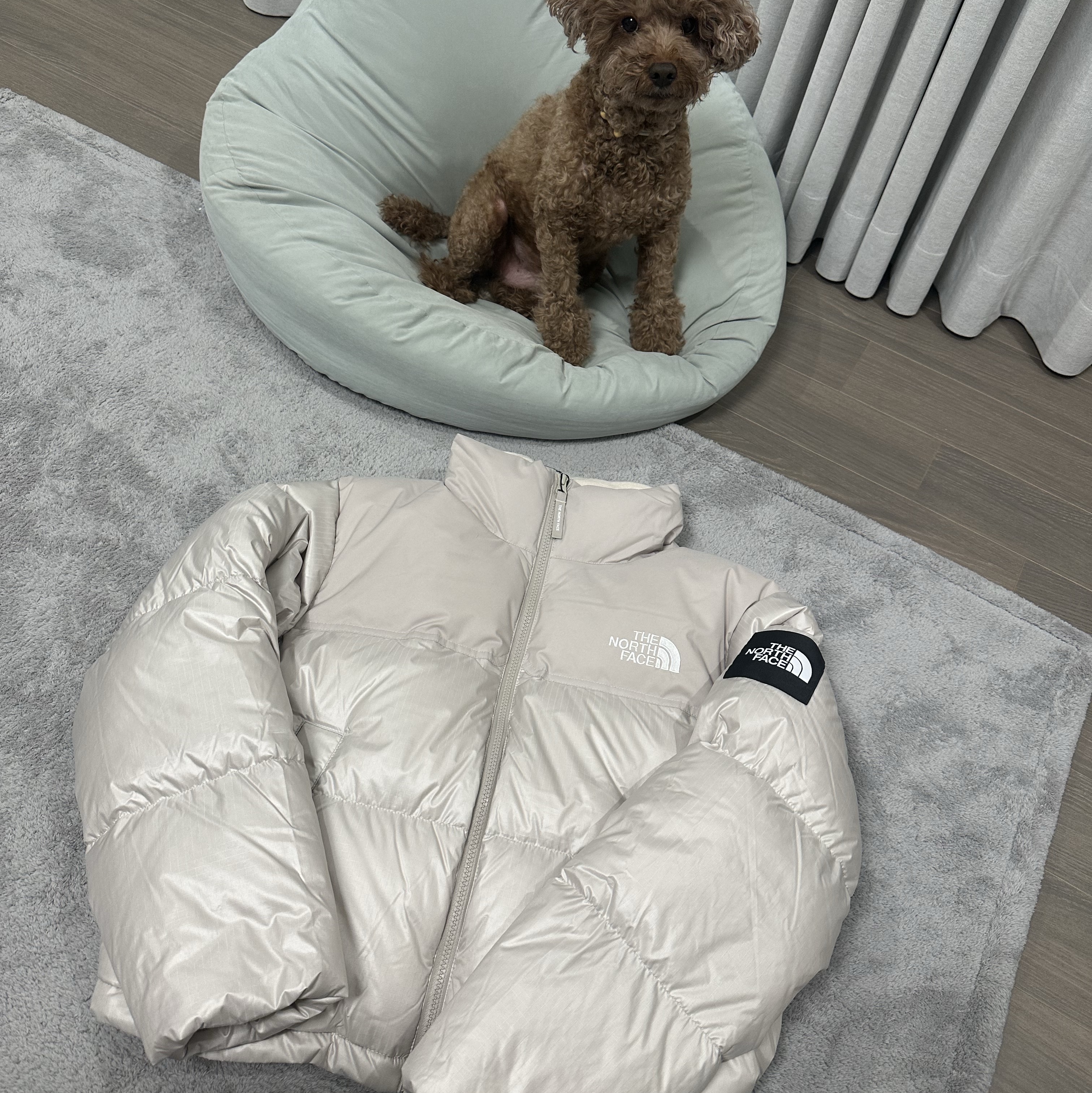 (W) The North Face White Label Novelty Nuptse Down Jacket Cream Beige 착용 스타일