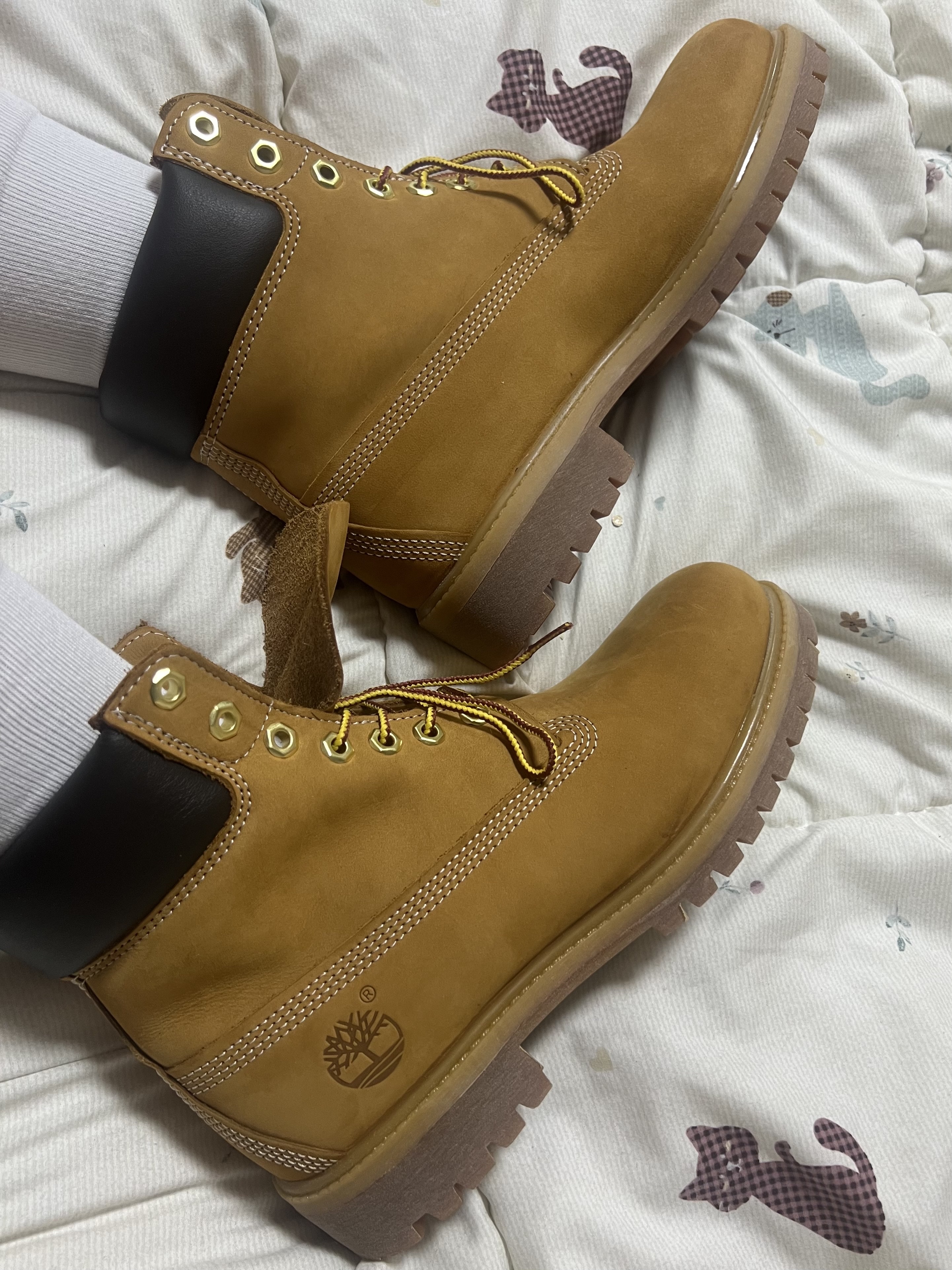 Timberland Premium 6 inch Waterproof Boot Wheat Nubuck - Wide 착용 스타일