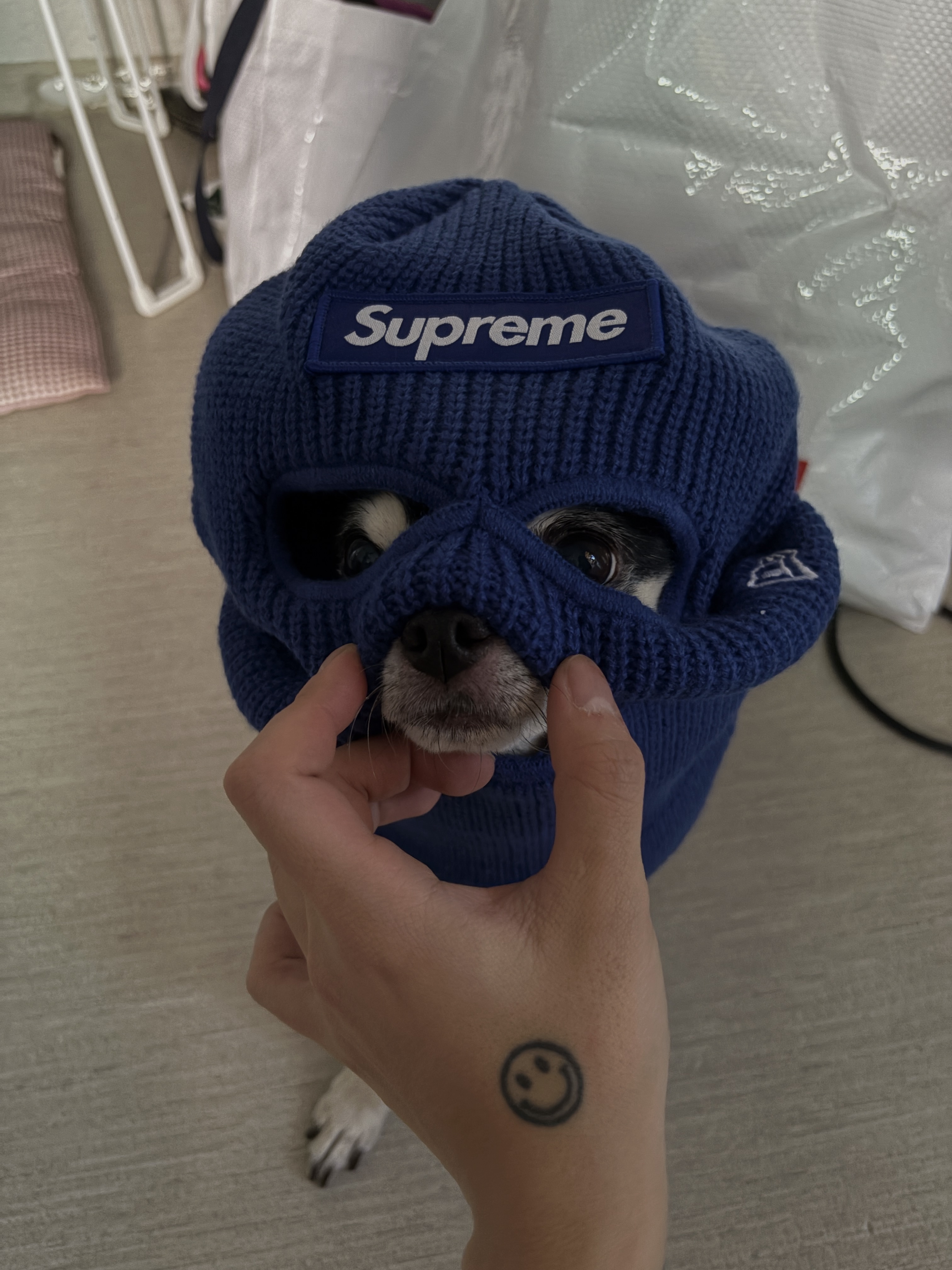 Supreme New Era Box Logo Balaclava Light Royal - 24FW 착용 스타일