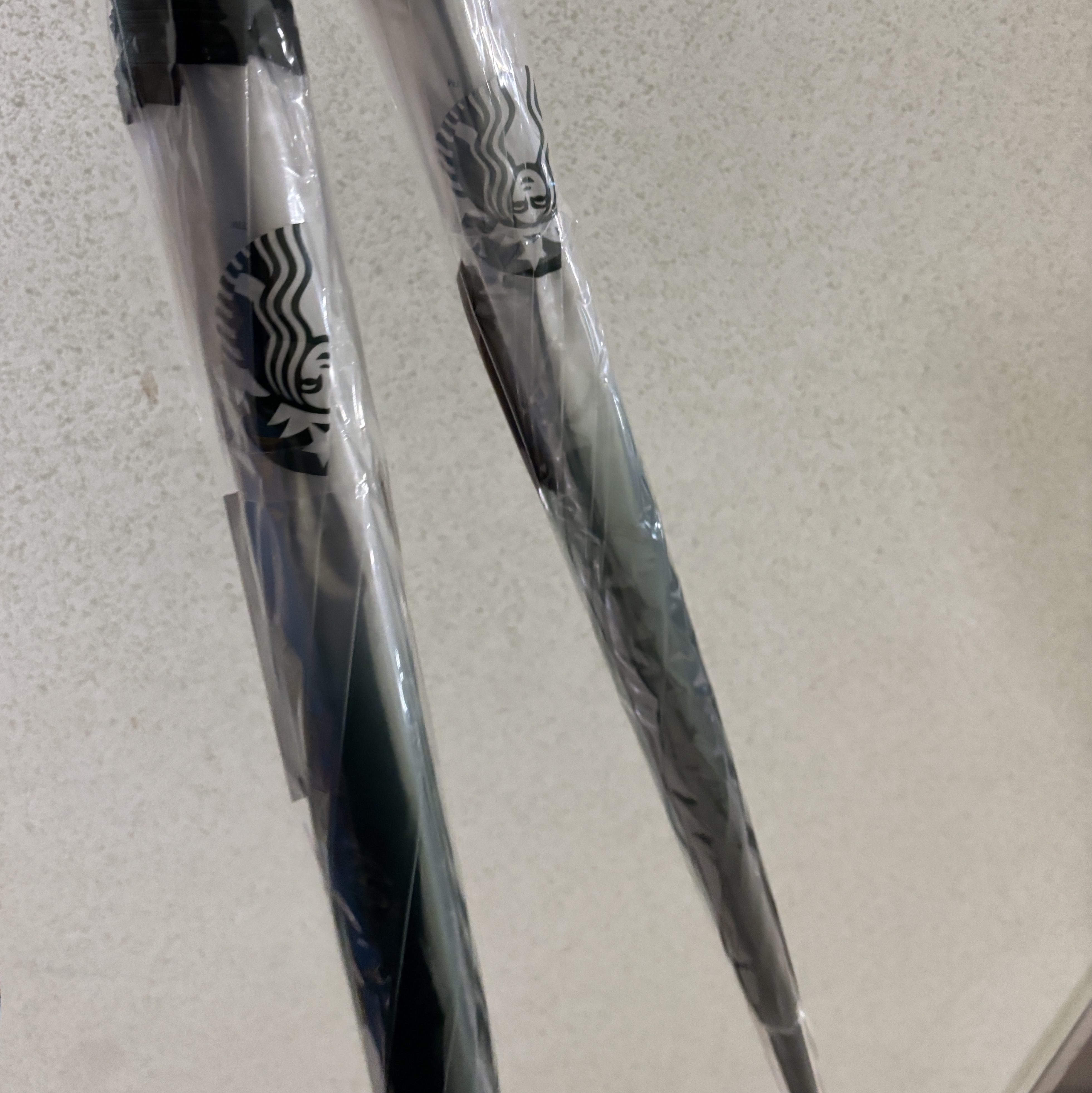 Starbucks Rainy Day Transparent Umbrella Green 착용 스타일