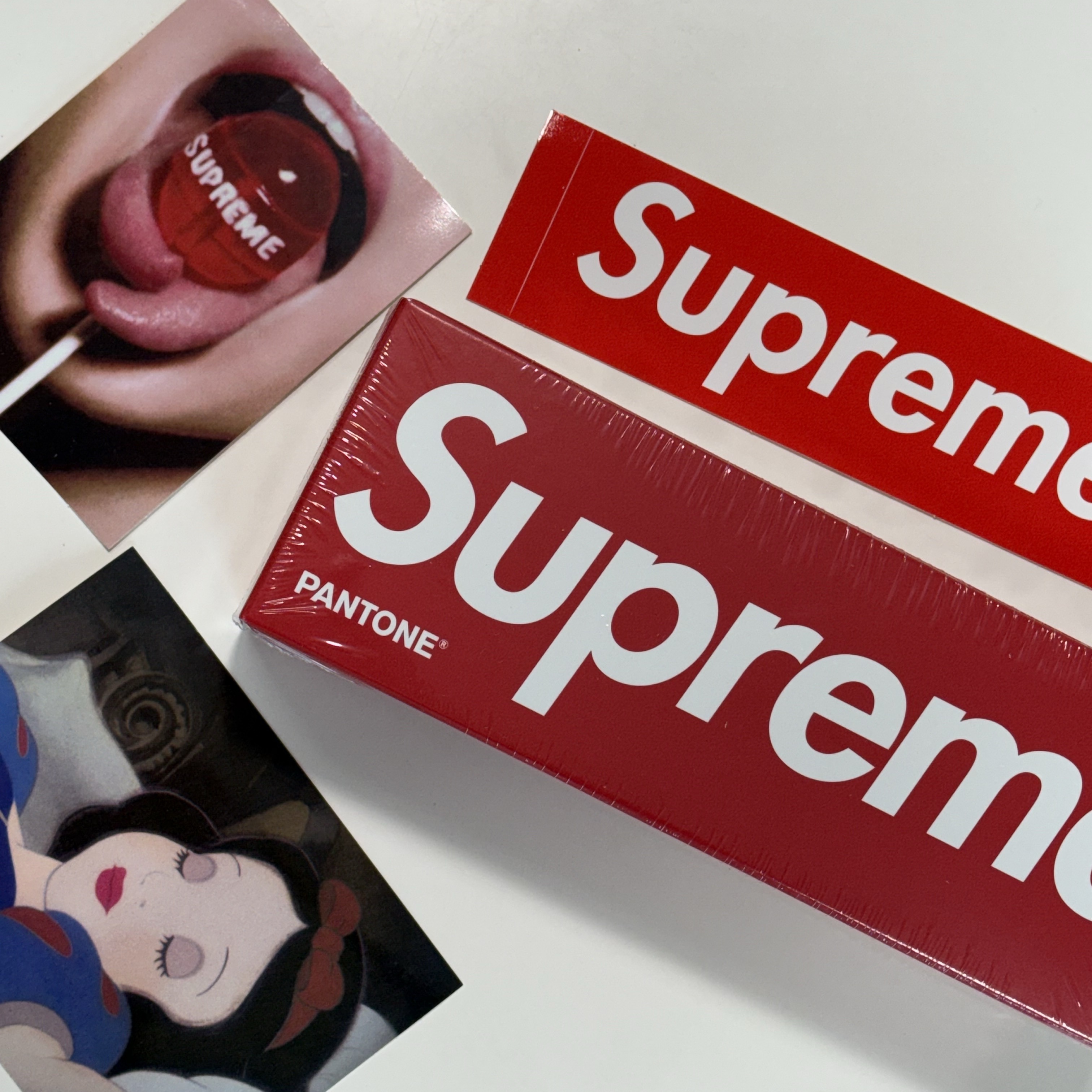Supreme x Pantone Formula Guide White - 24FW 착용 스타일 - 1