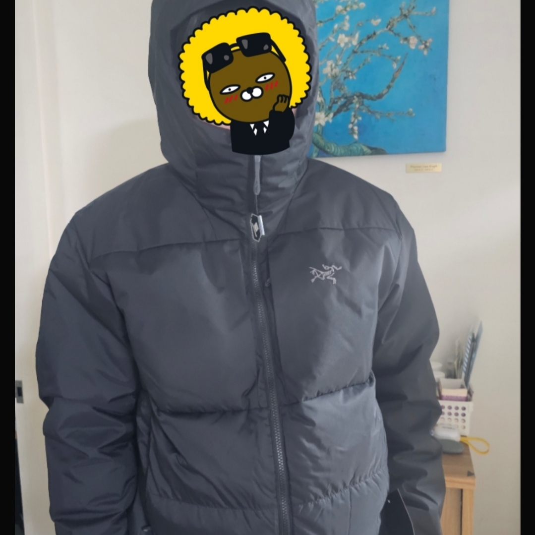Arc'teryx Thorium SV Hoody Black 착용 스타일
