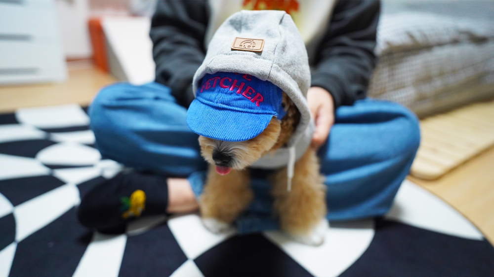 KREAM 프로필 이미지