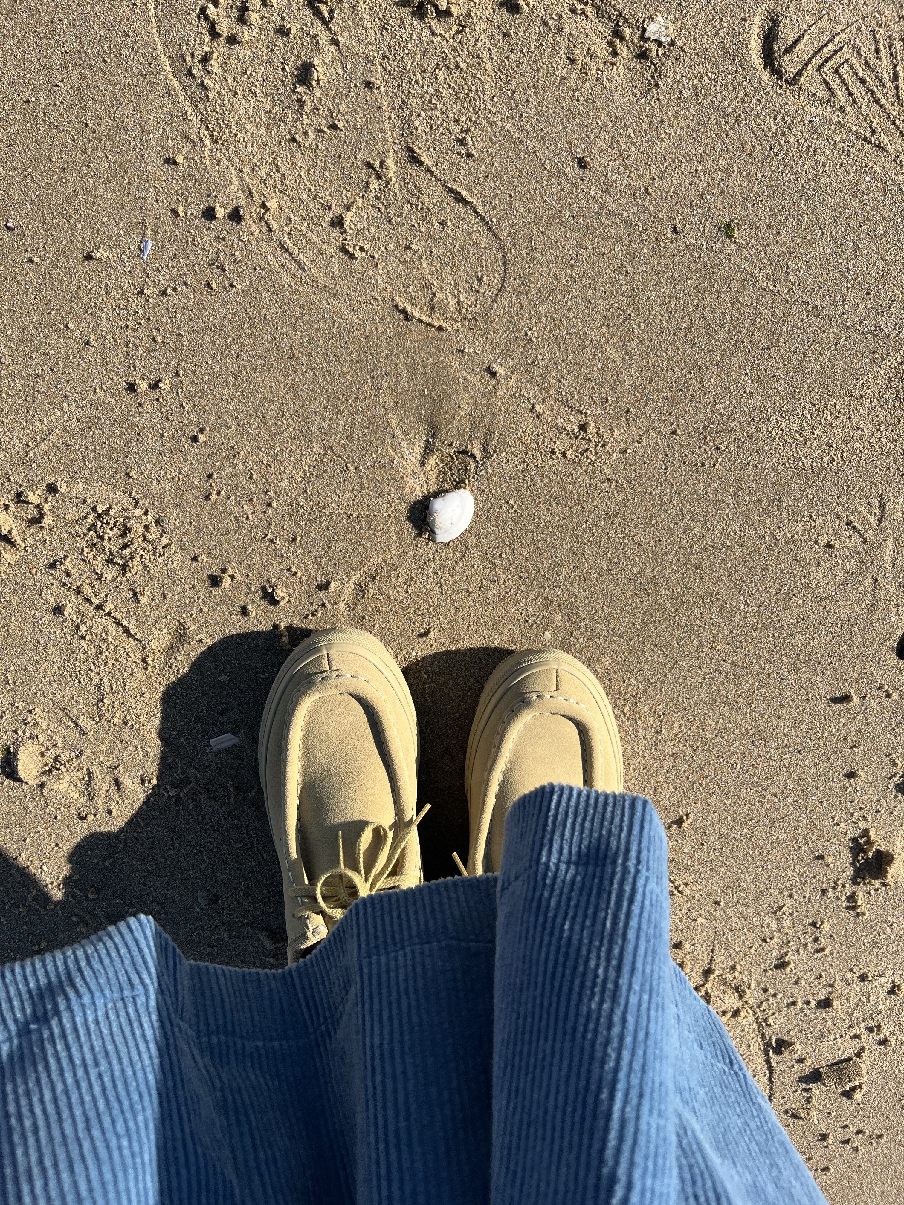 Vans Carver Low Sand Beige 착용 스타일