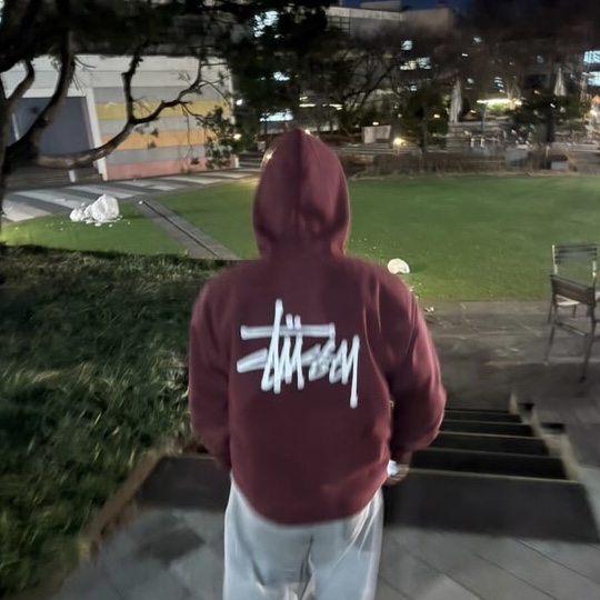 Stussy Basic Stussy Hoodie Oxblood 2024 착용 스타일