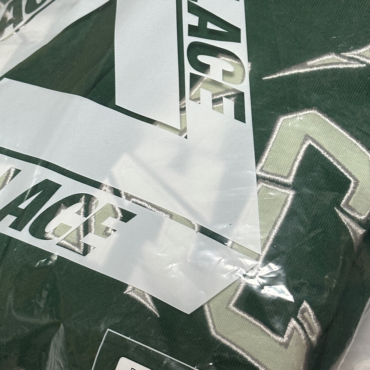 Palace Shatter Zip Hood Racey Green - 24FW 착용 스타일