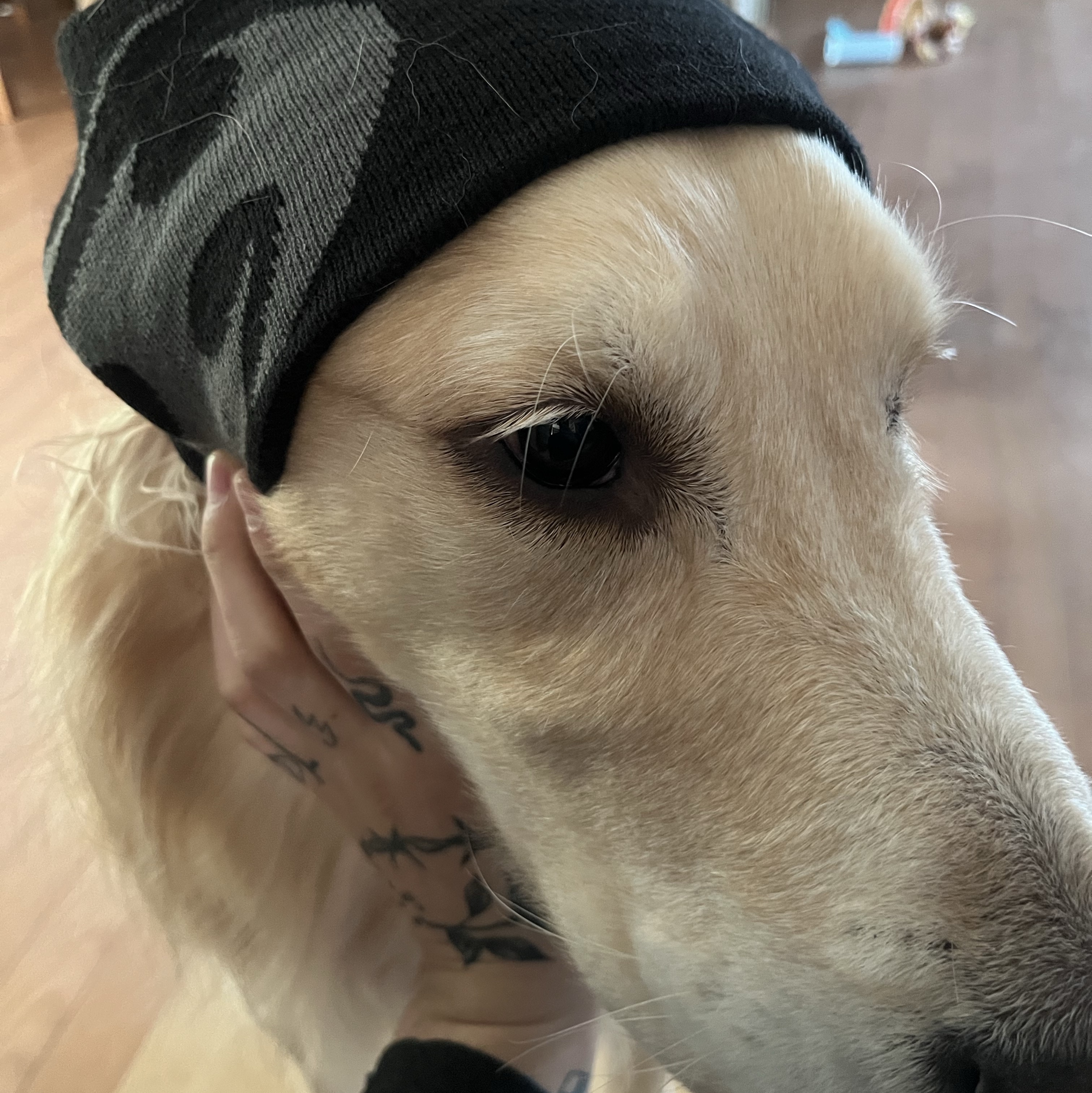 Sansan Gear Logo Beanie Black 착용 스타일