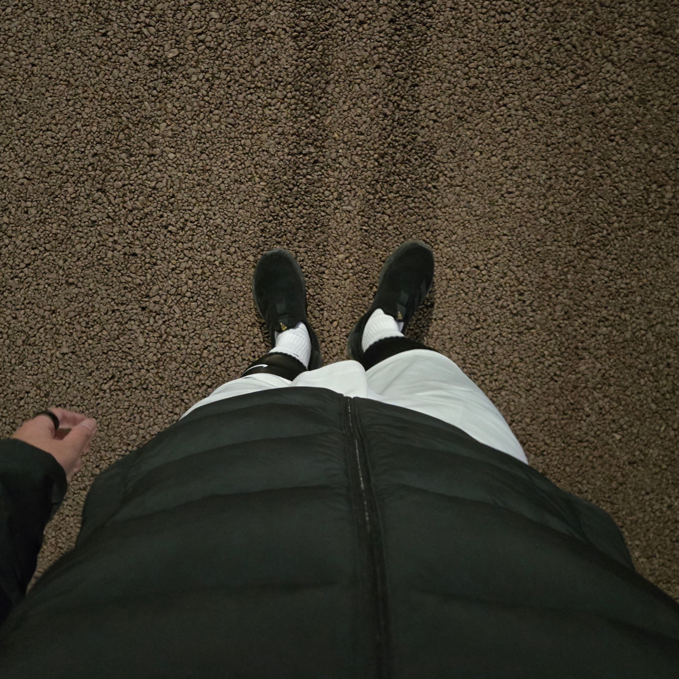 Discovery Expedition Pictor U Goose Lightweight Down Jacket Black, Nike Pro Dri-Fit Fitness Tights Black - Asia 착용 스타일