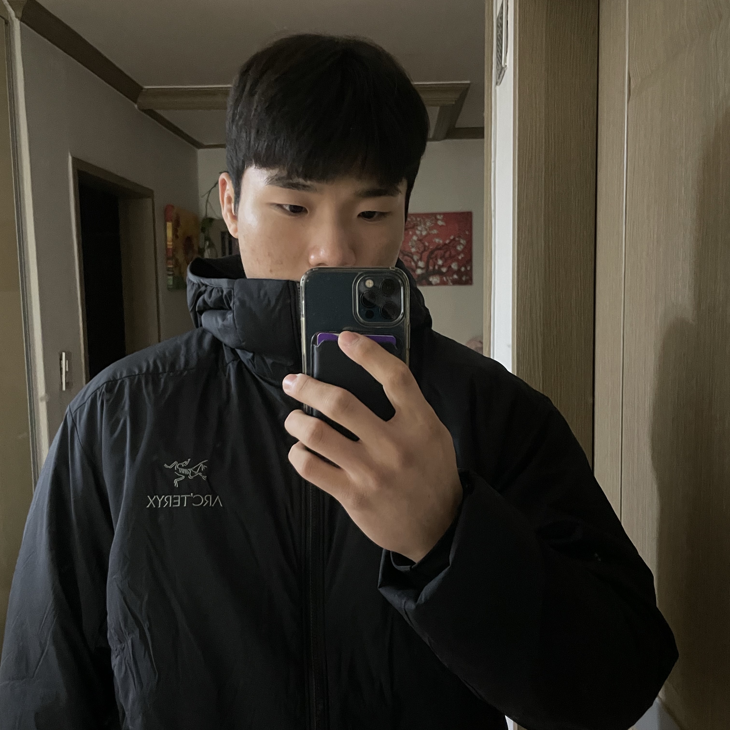 Arc'teryx Atom Hoody Black 착용 스타일