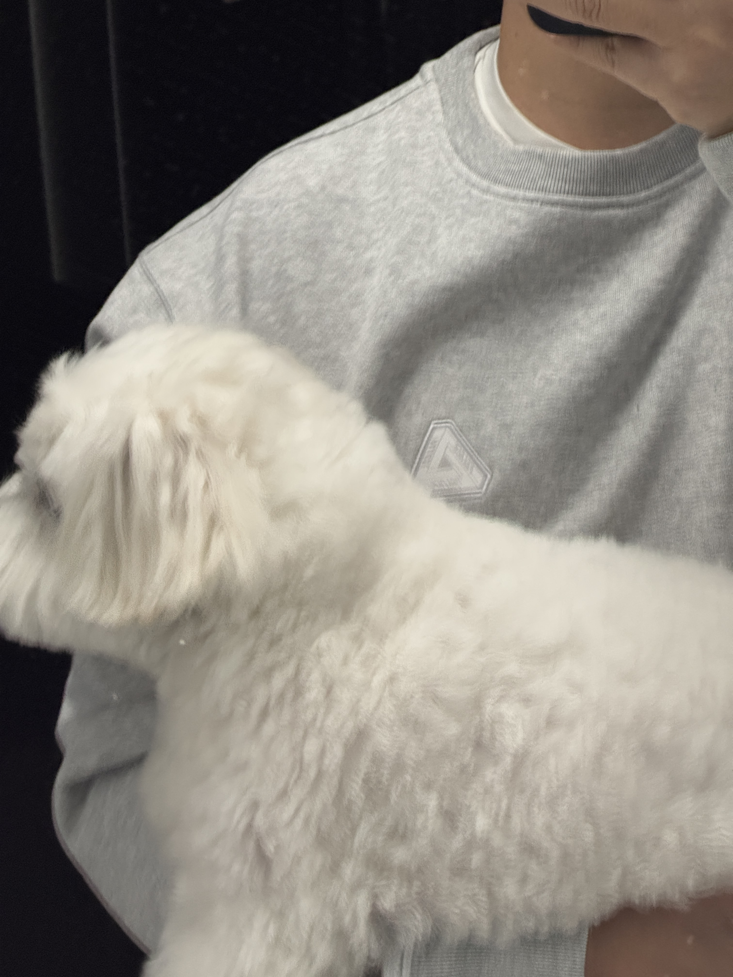 Palace Sofar Crew Grey Marl - 24FW 착용 스타일