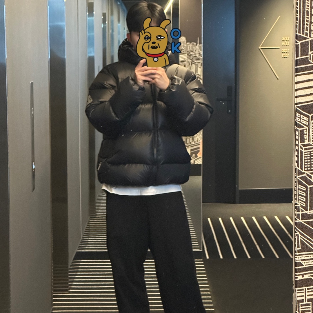Palace Pertex Opaque Balaclava Puffa Black - 24FW 착용 스타일