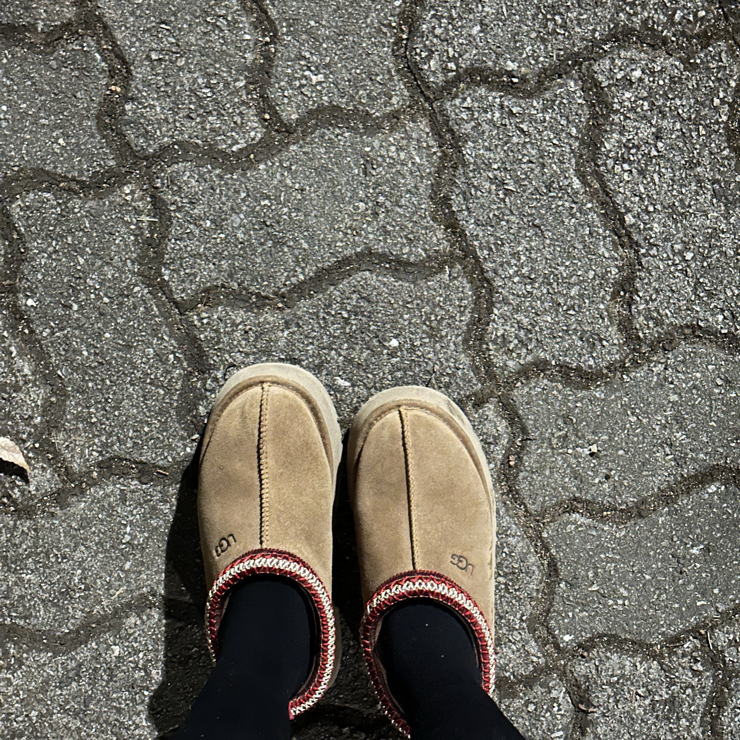 (W) UGG Tazz Slipper Chestnut 착용 스타일