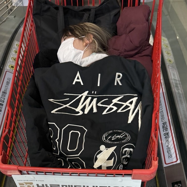 Nike x Stussy Reversible Jacket Black (FJ9154-010), Nike x There SB Dunk Low Pro Anthracite and Gorge Green 착용 스타일 - 6