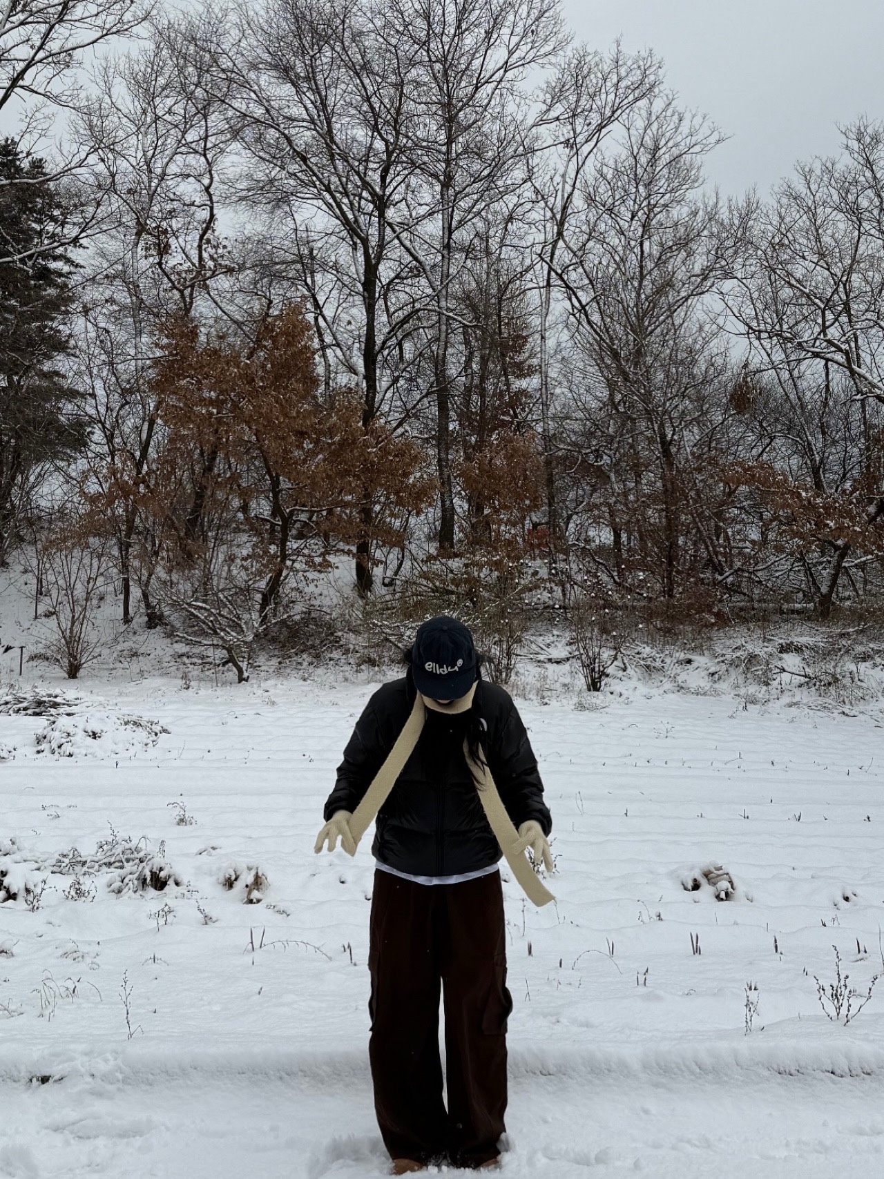 (W) UGG Classic Mini II Boots Chestnut, The North Face Nuptse Hybrid Down Ball Jacket Black 착용 스타일 - 3