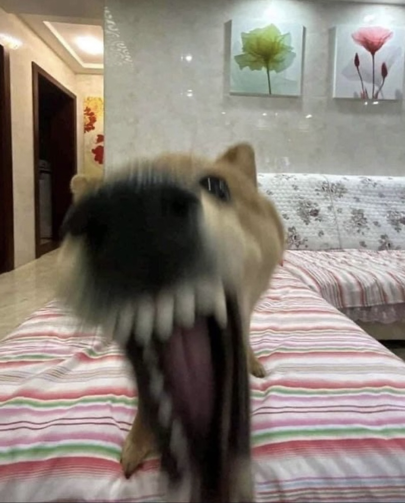 관심 유저 프로필 이미지