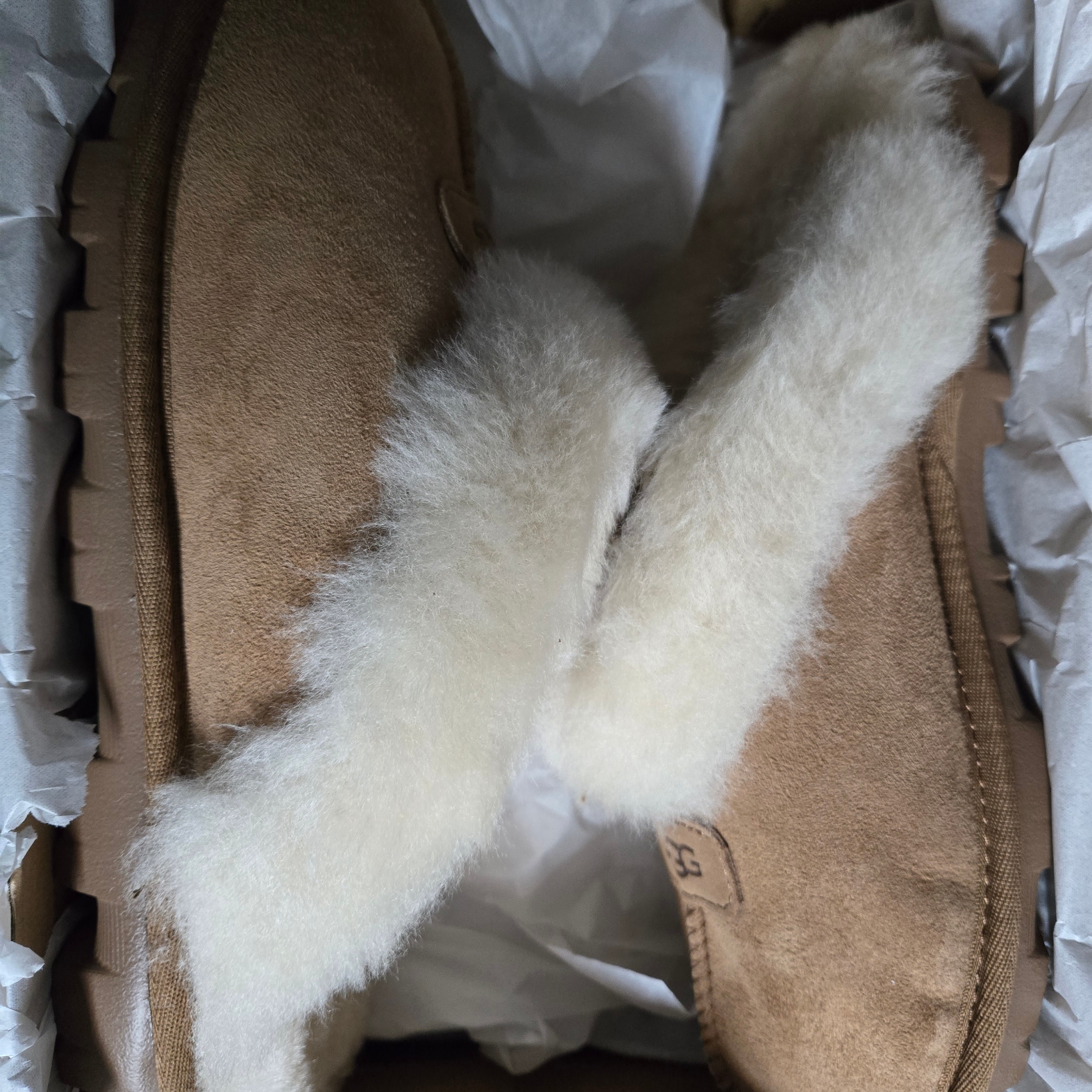 (W) UGG Coquette Slipper Chestnut 착용 스타일 - 1