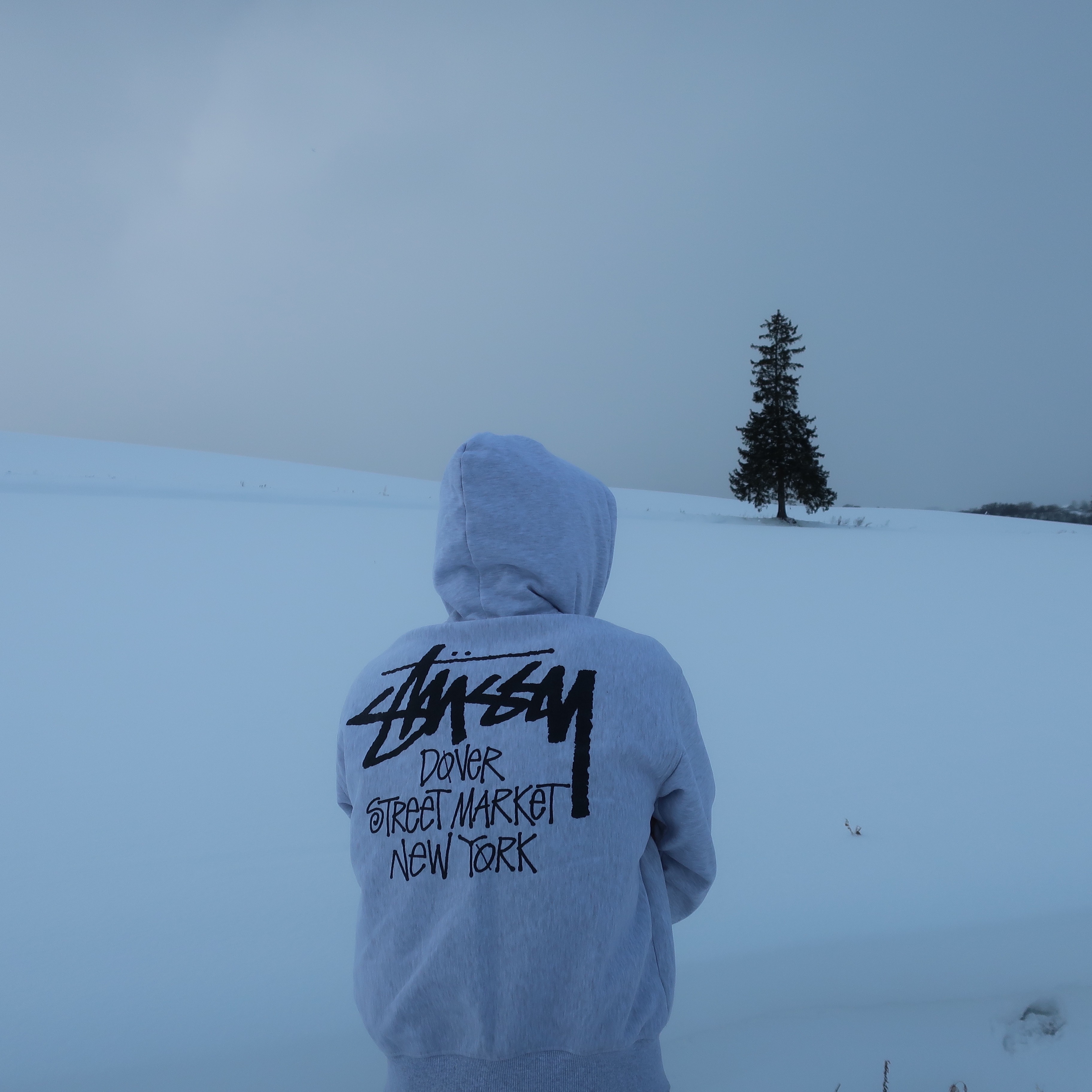 Stussy Stock DSM New York Zip Hoodie Ash Heather, Salomon XT-6 GTX Black Silver 착용 스타일 - 2