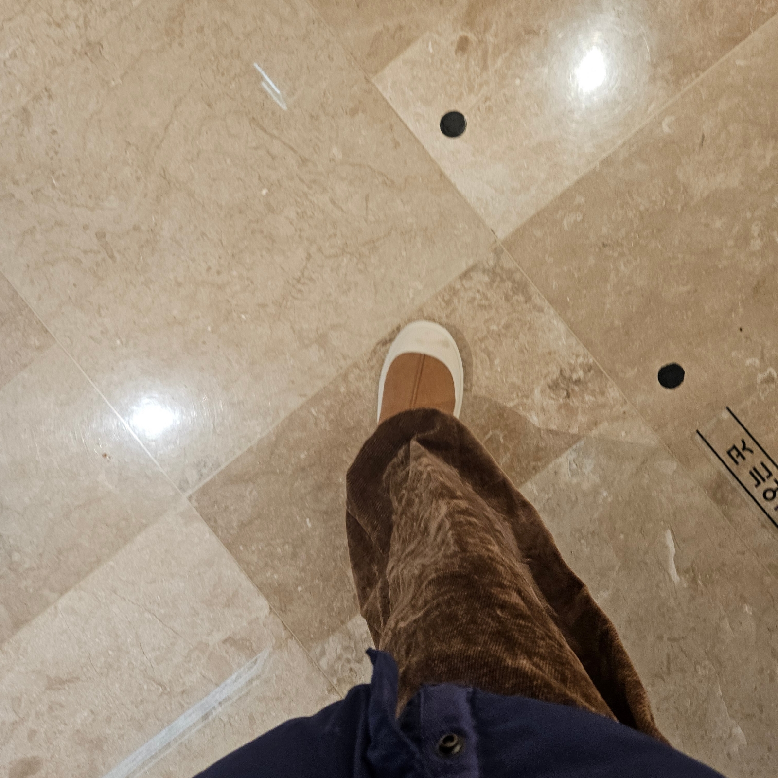 UGG Tasman Weather Hybrid Chestnut Whitecap, Haleine Velour Folding Sweatpants Brown 착용 스타일