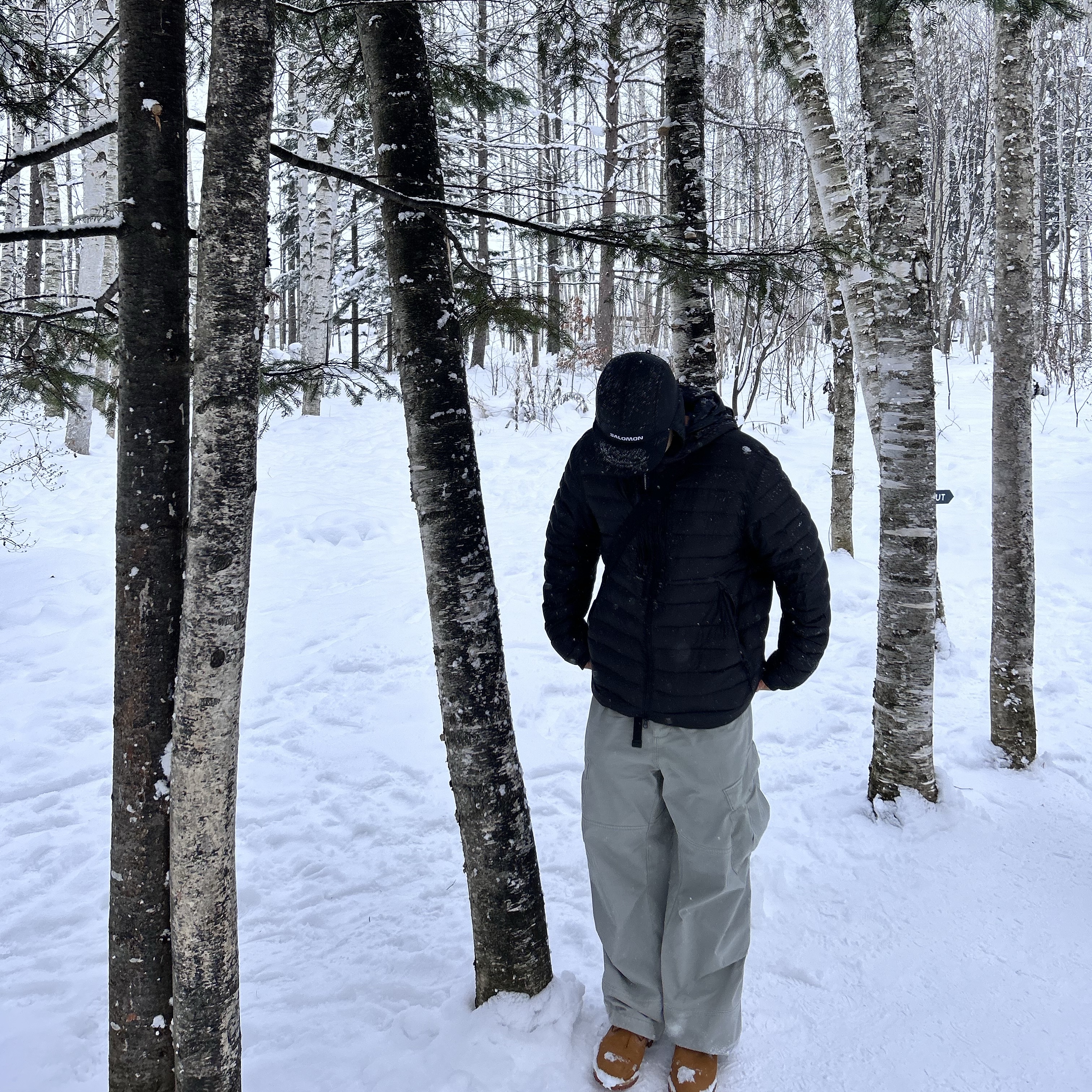 Salomon Thermo Trapper Hat Black, Timberland Premium 6 inch Waterproof Boot Wheat Nubuck - Wide 착용 스타일 - 2