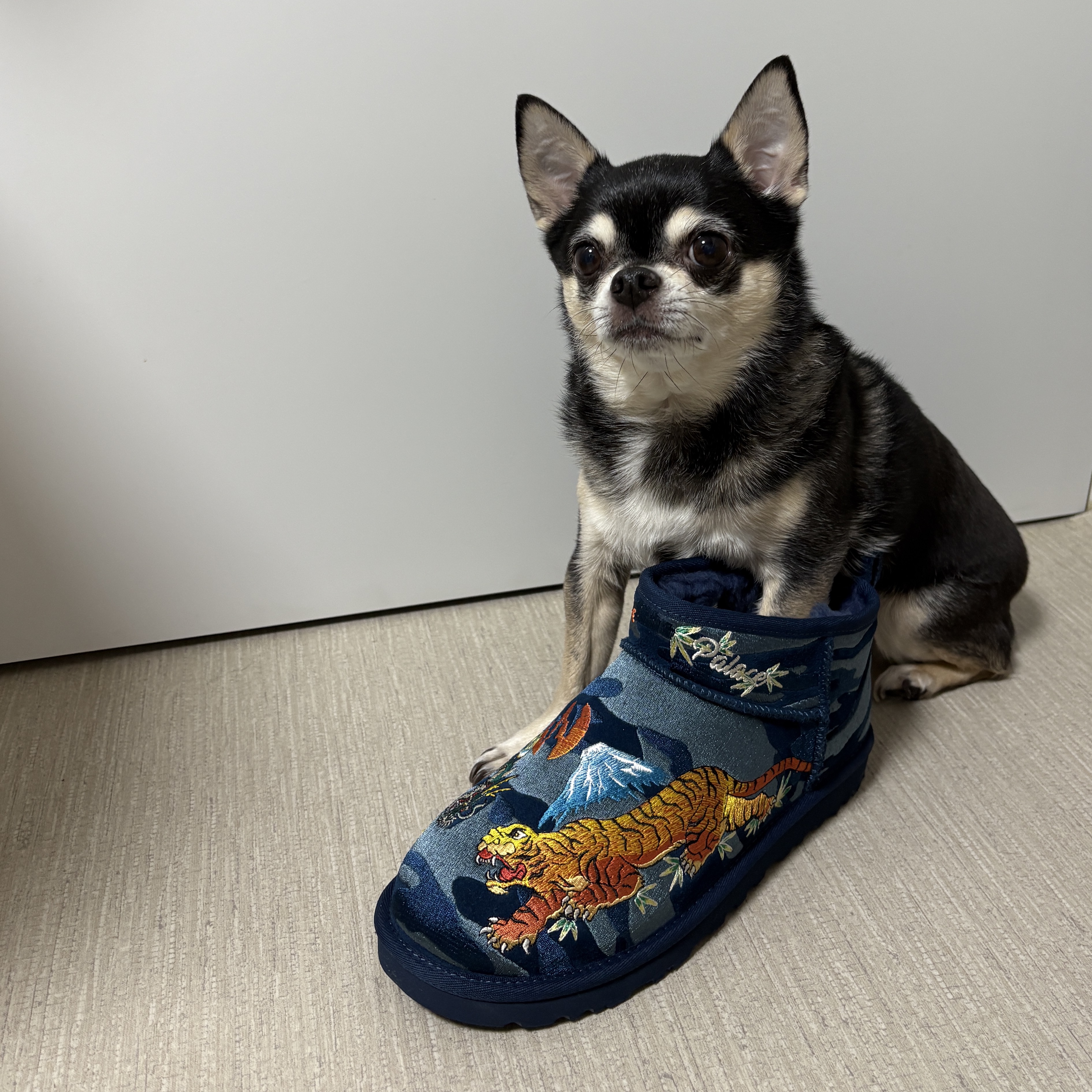 UGG x Palace Ultra Mini Boot Navy Camo 착용 스타일