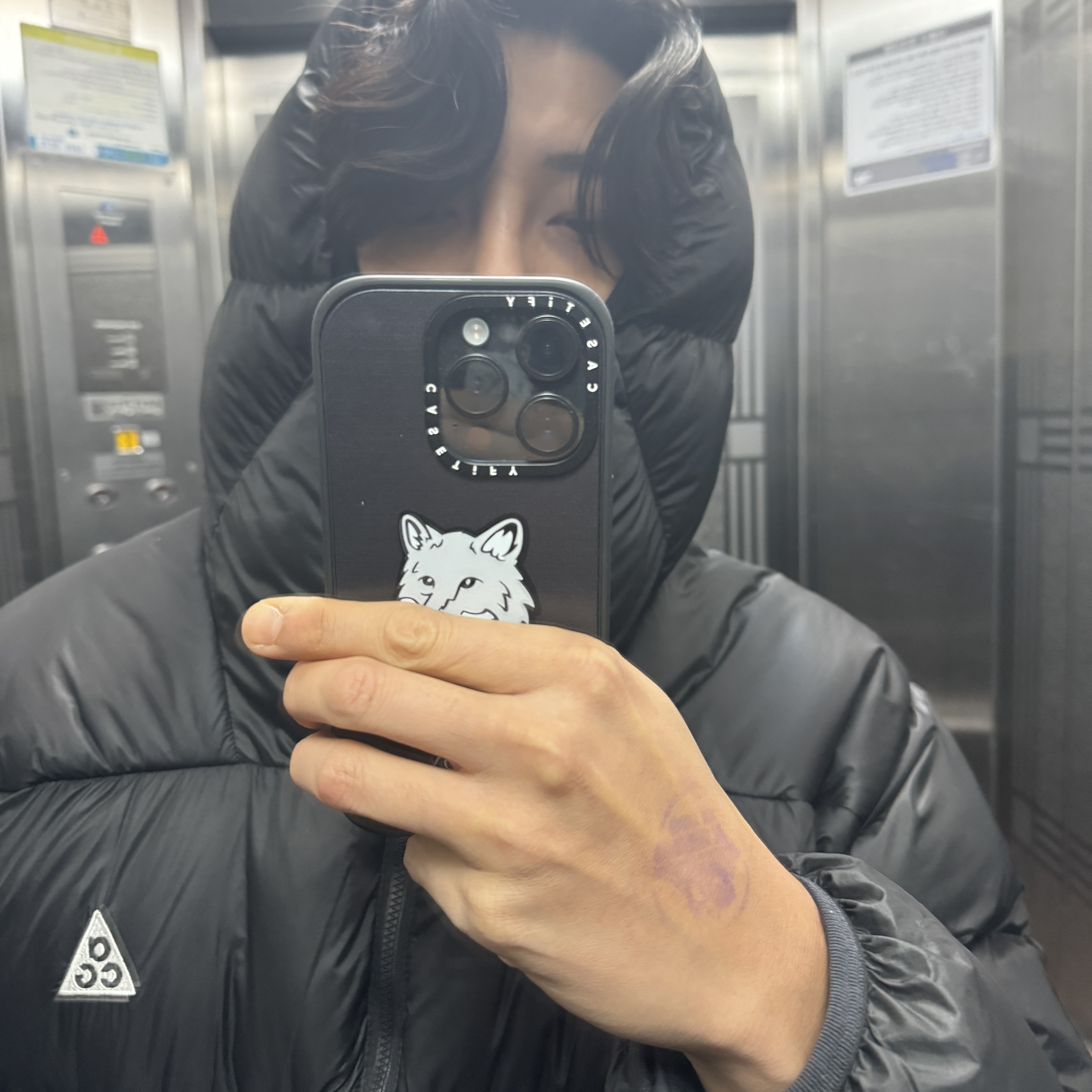 Nike ACG Therma-Fit ADV Lunar Lake Puffer Jacket Black - Asia 착용 스타일