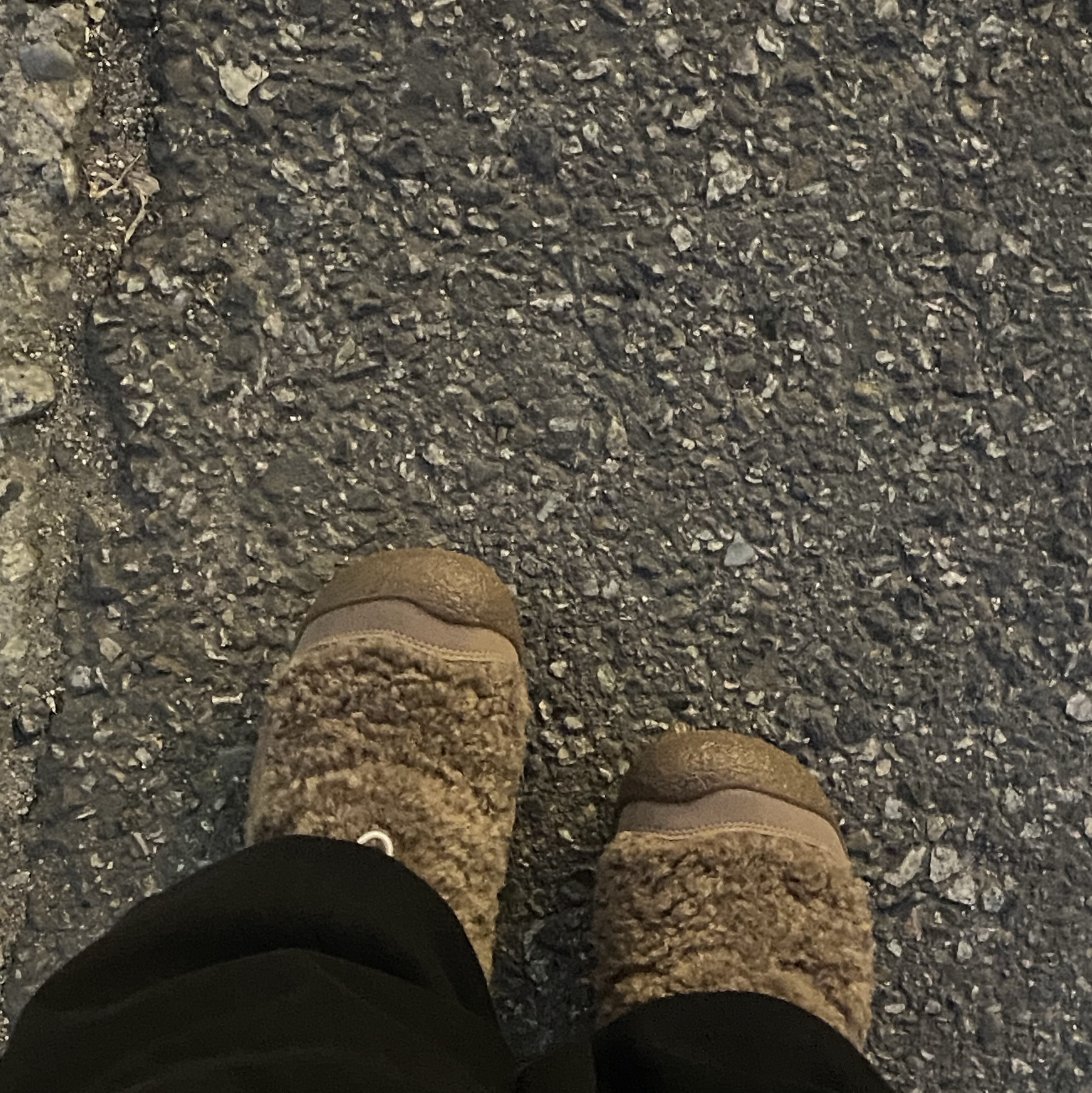 (W) Keen Howser lll Slide Caribou Canteen 착용 스타일